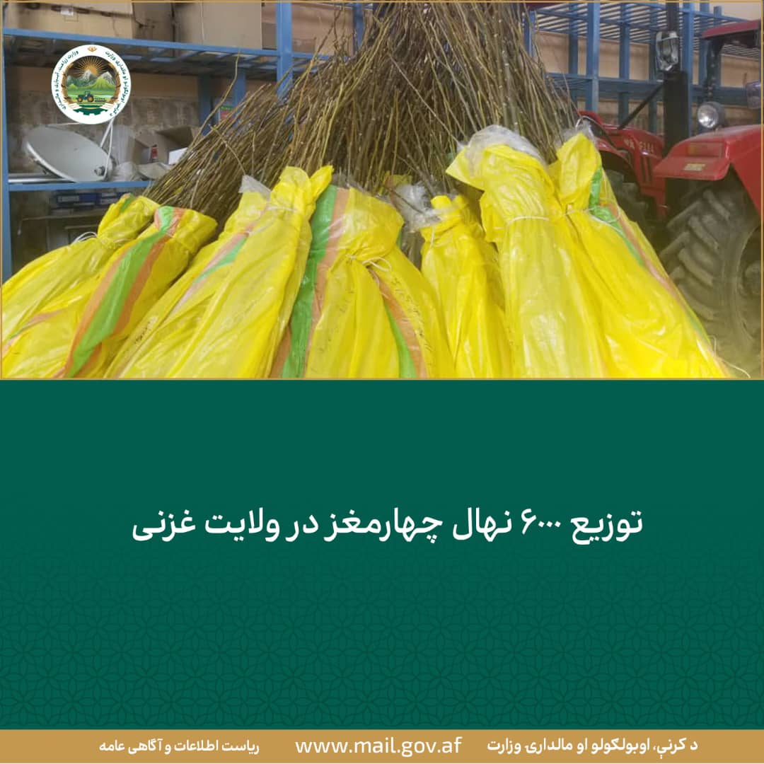 خبرهای مهم روز