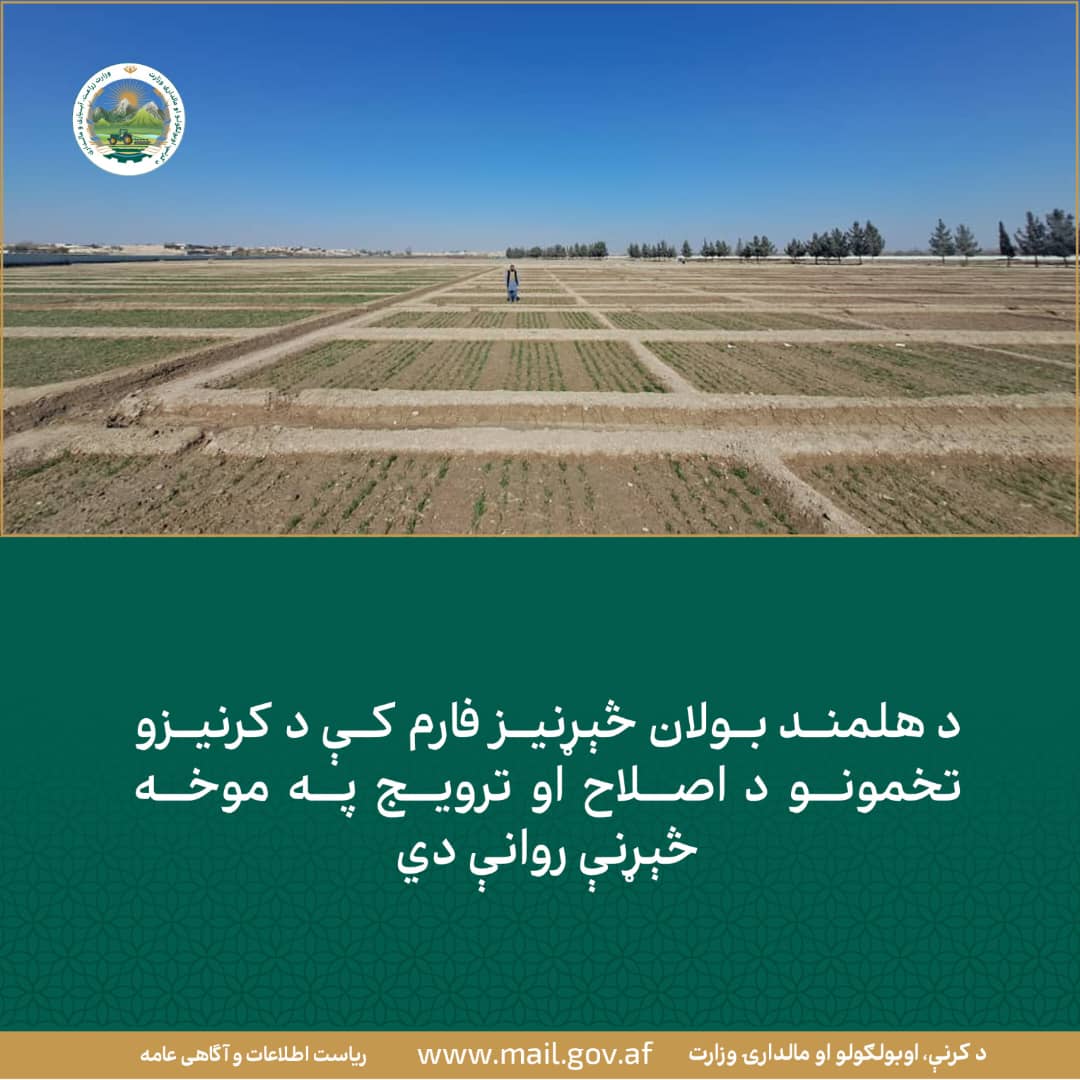 د ورځ مهمی خبری