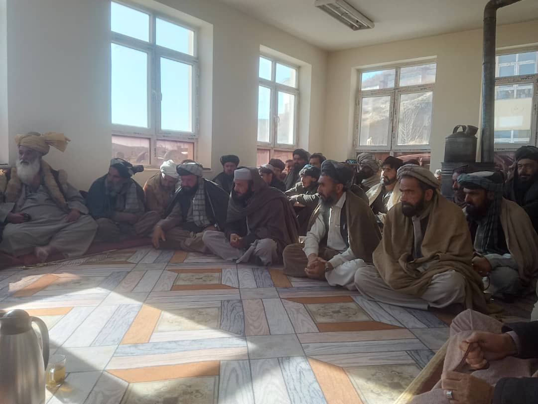 د پکتیا د کرنې رئیس د میرزکې ځنګلونو د بیارغونې هڅې وڅارلې