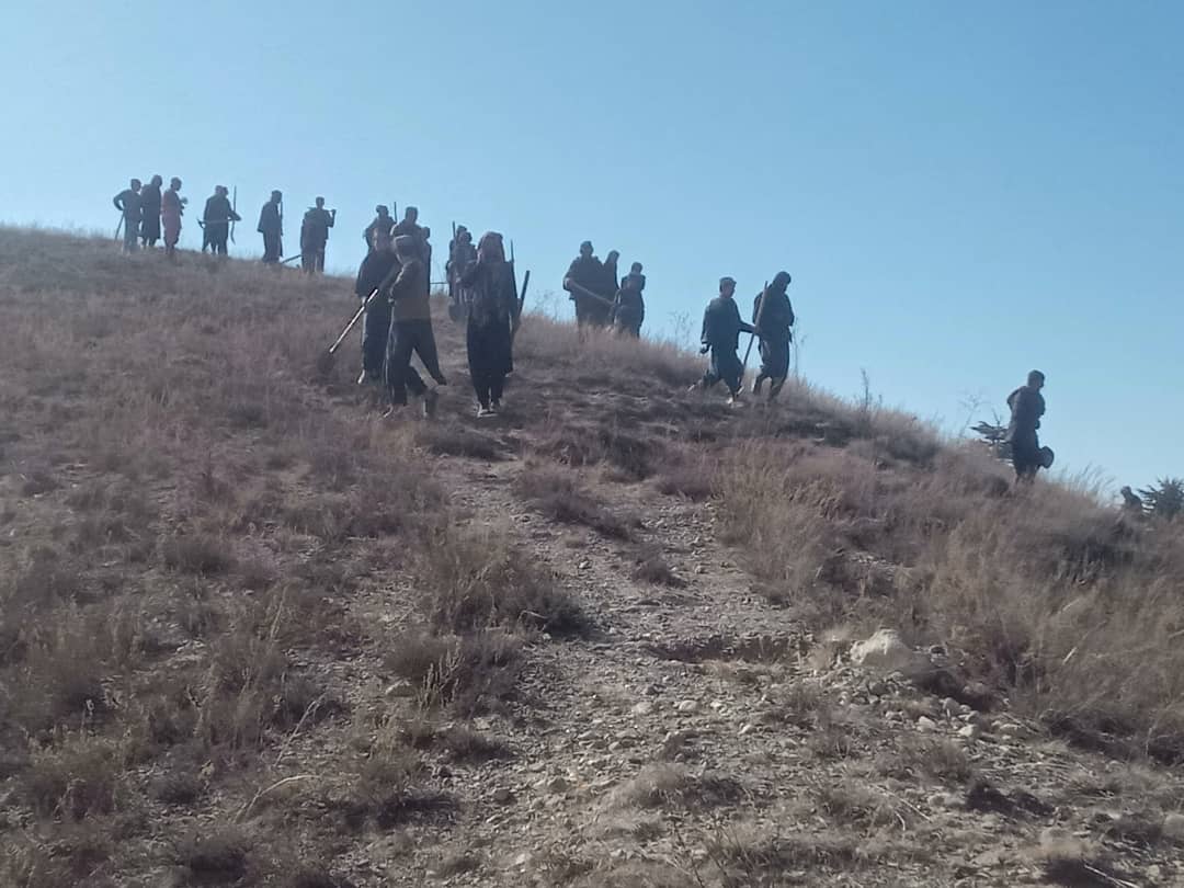 د پکتیا په نیازبیک سیمه کې د ۲۰ هکتاره ځمکې ځنګلونو بیارغونه پيل شوه