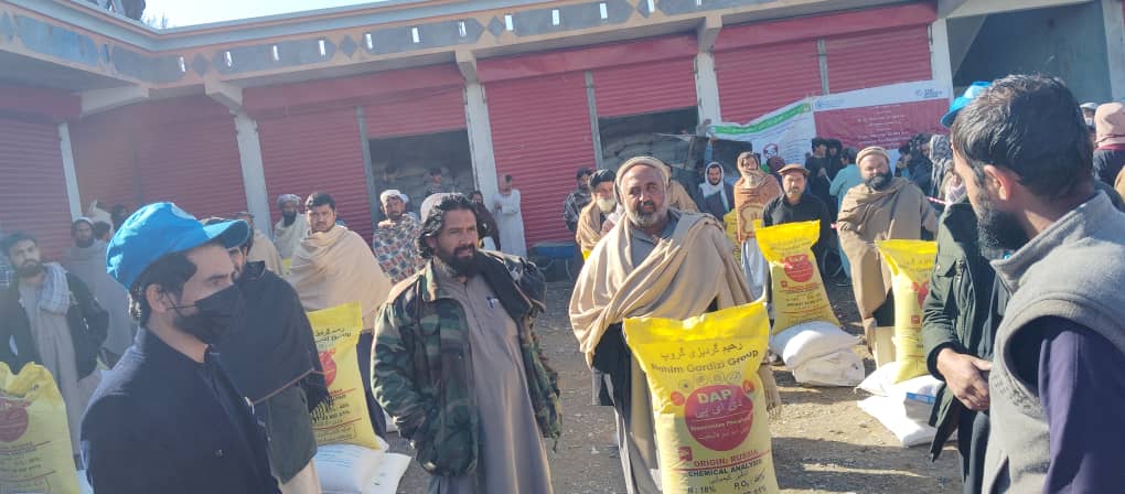د خوست علیشیرو او تریزیو کې پر ۲۵۹ مستحقو بزګرانو د غنمو اصلاح شوی تخمونه او کیمیاوي سرې ووېشل شوې