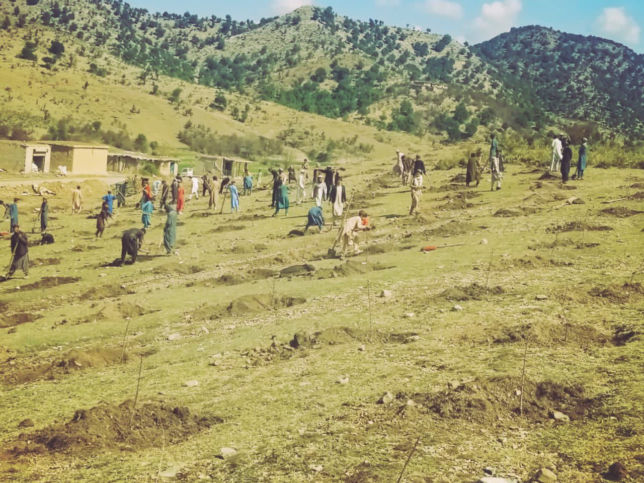 خوست کې د ځنګلونو او څړځایونو د پراختیا او خوندیتوب په پار لسګونه پروژې پلي شوي