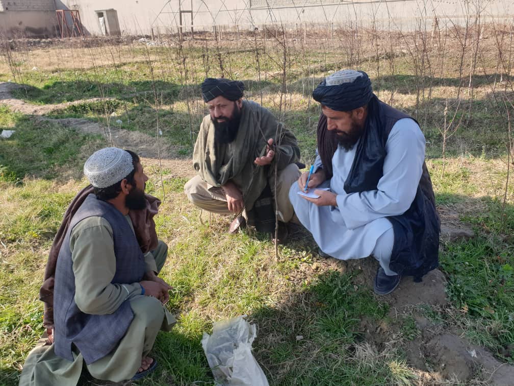 د هلمند ګرشک کې د نیالګیو روزلو قوریې چارې وارزول شوې
