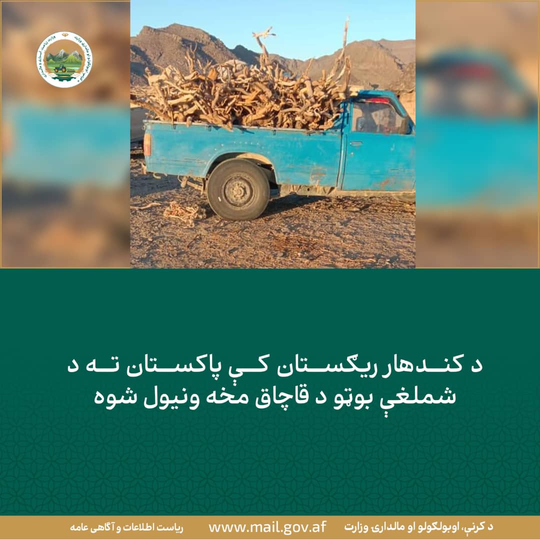 د ورځ مهمی خبری