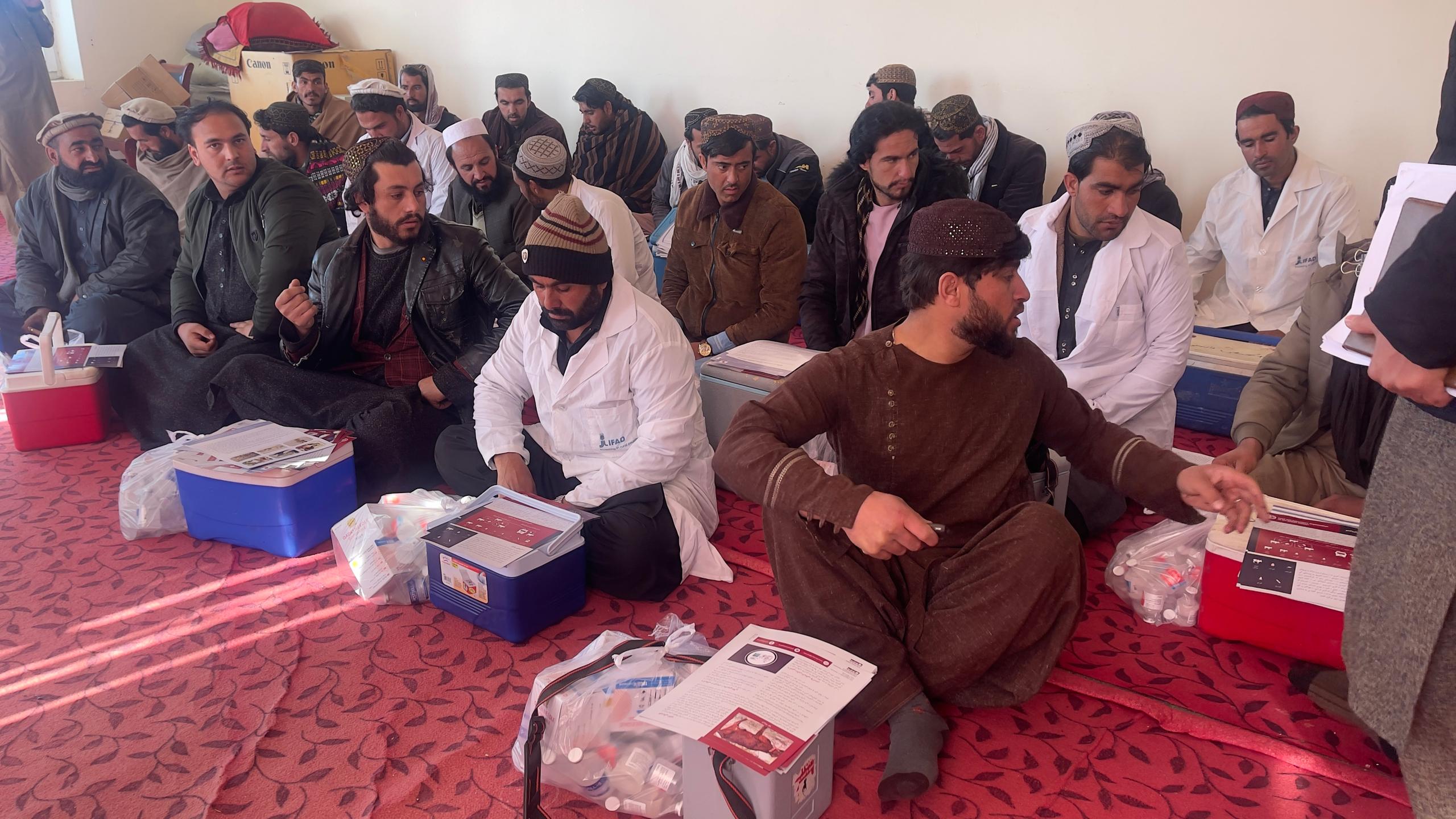 پکتیکا کې د څارویو د واکسین کمپاین پیل شو