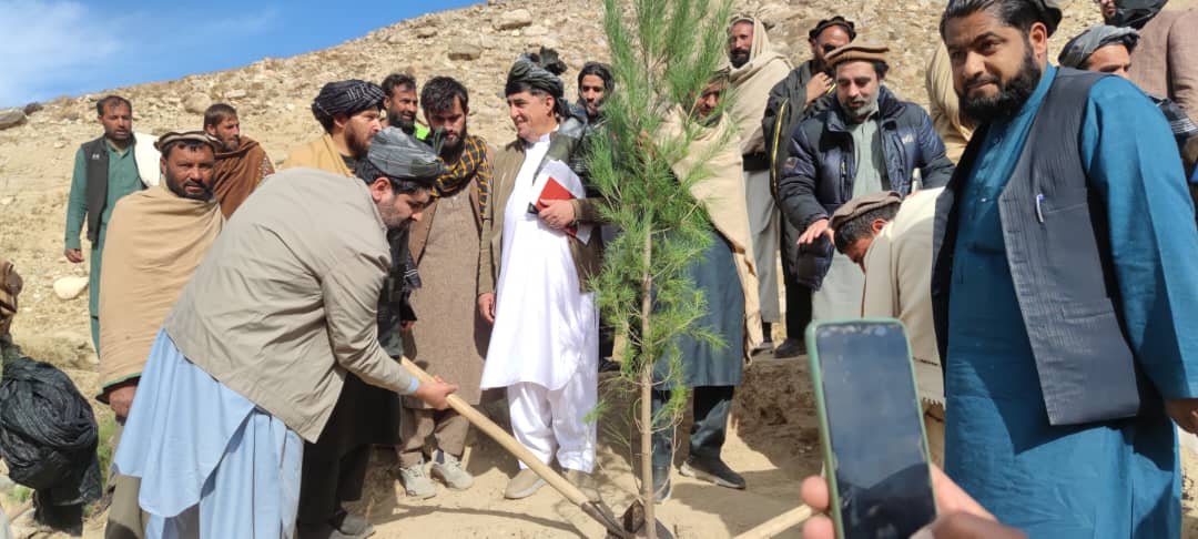د ننګرهار خوږیاڼو کې د دوه میلیونه افغانیو په لګښت د اوبو زېرمه کولو واټرشېډ جوړولو چارې پیل شوې