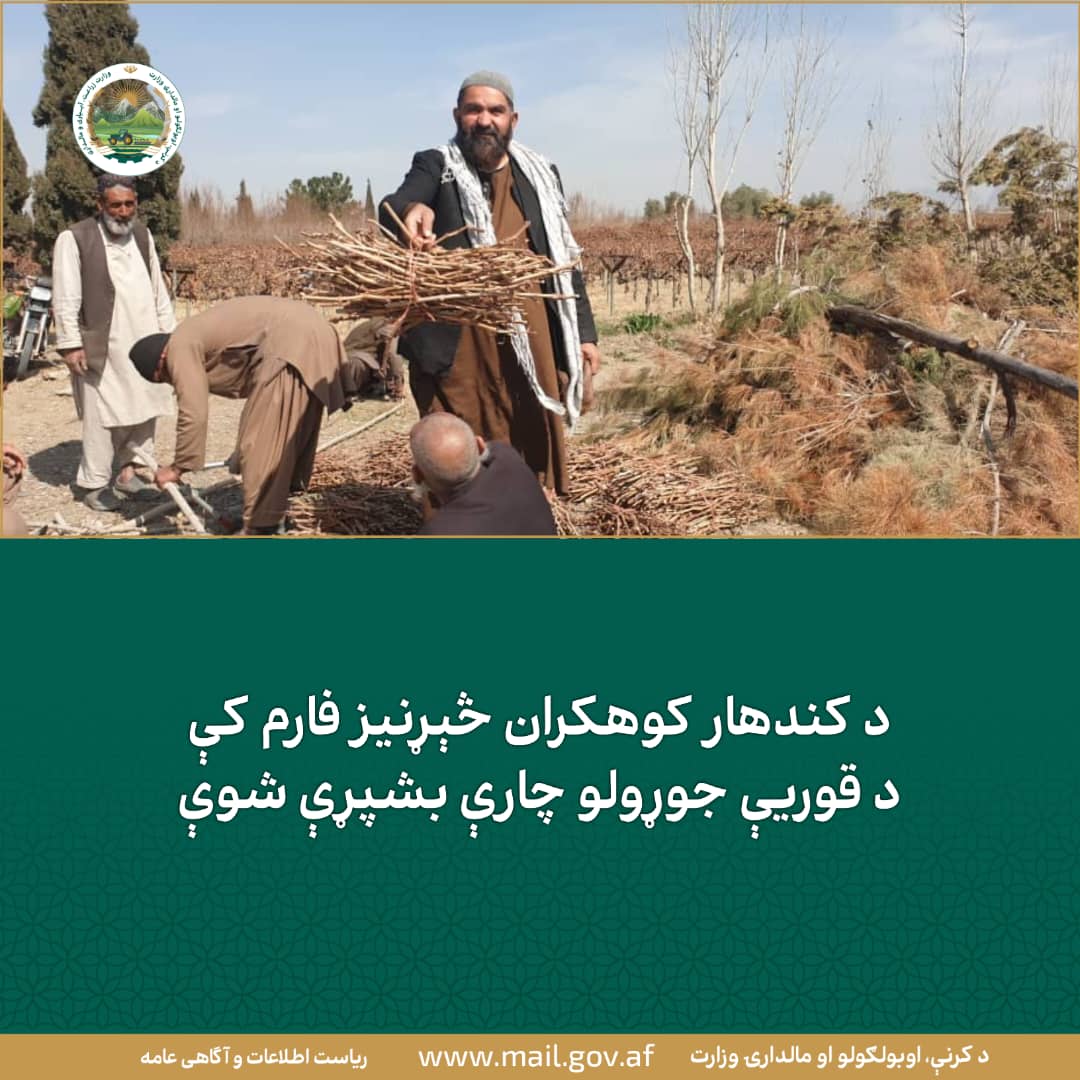 د ورځ مهمی خبری