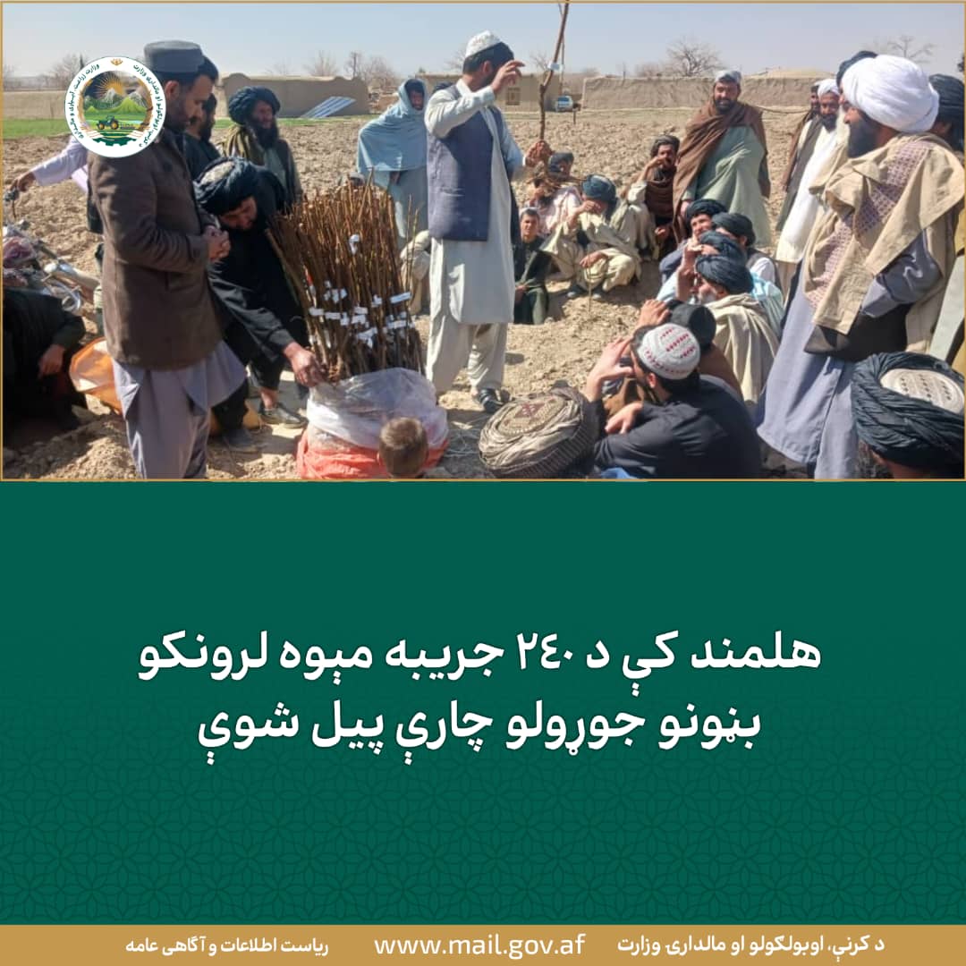 د ورځ مهمی خبری