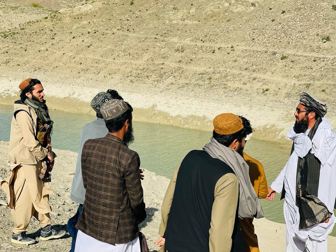 د پکتیکا زیړوک ولسوالۍ کې ۲۷ بزګرانو ته د مڼو او چارمغزو ۷زره او ۵۷۰ نیالګي ووېشل شول