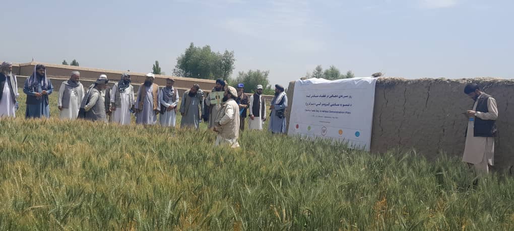 تجلیل از روز مزرعه در ولسوالی بگرام ولایت پروان