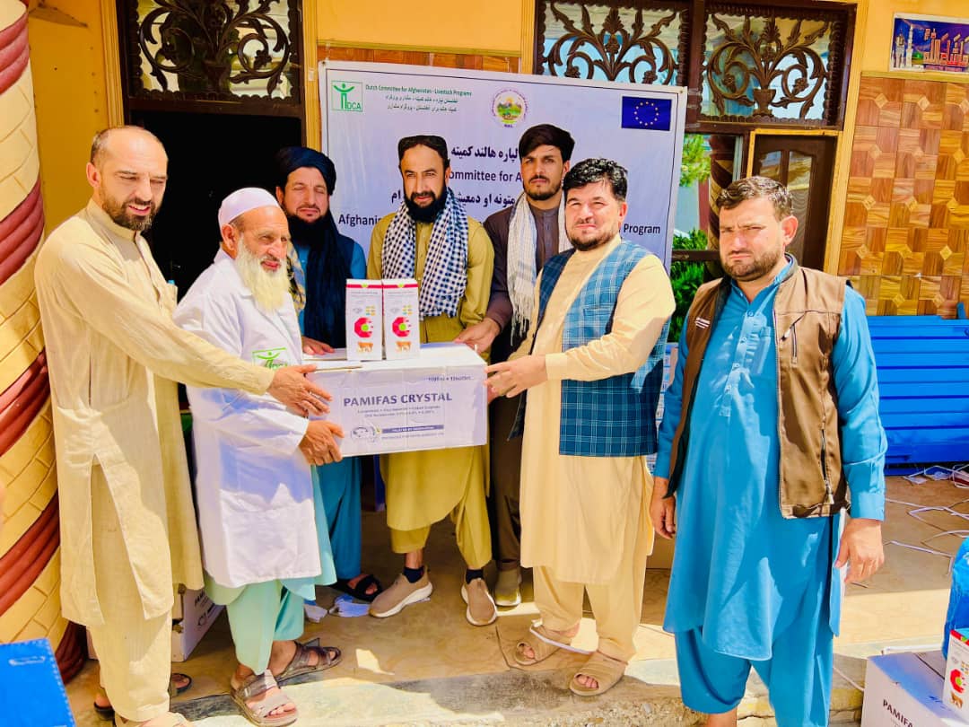 ننګرهار کې نږدې ۳۳ زره څارویو ته د چنجیو ضد درملو د تطبیق چارې پیل شوې