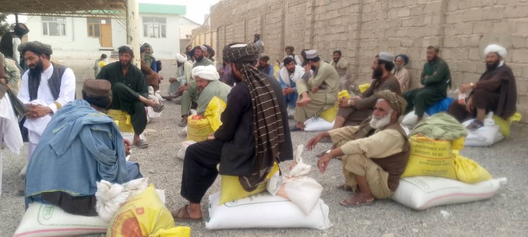 هلمند کې ۵۵ بزګرانو ته د جوارو د ننداریزو کروندو لپاره کرنیز توکي ووېشل شول