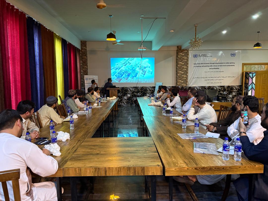 کندهار کې د پنبې تخنیکي روزنې پروګرام پیل شو