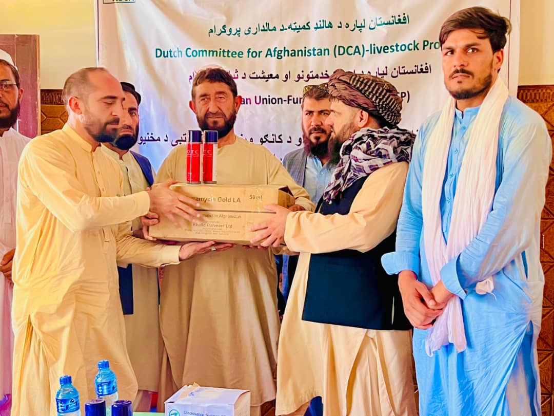 ننګرهار کې زرګونو څارویو ته د طبق ناروغۍ پر وړاندې د واکسین کمپاین پیل شو