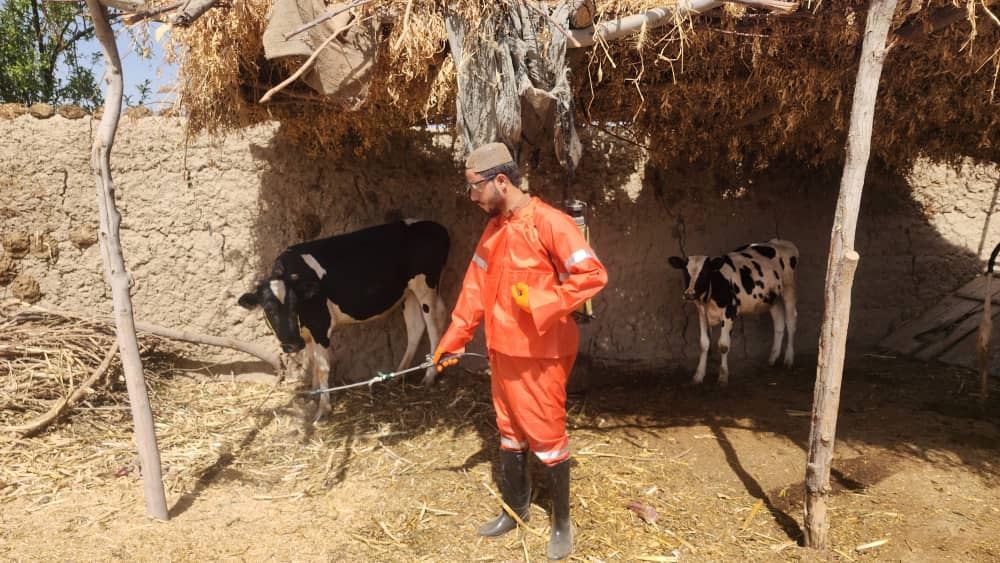 د هلمند مرکز لښکرګاه کې د کانګو تبې پر وړاندې د مبارزې وقایوي کمپاین پیل شو