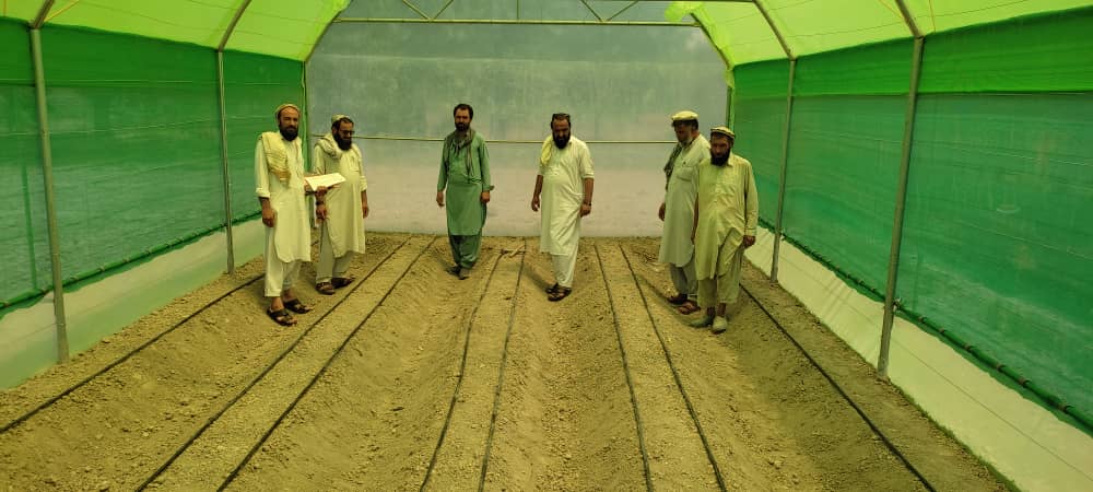 خوست کې یوشمېر بزګرانو ته د شنوخونو جوړولو چارې روانې دي