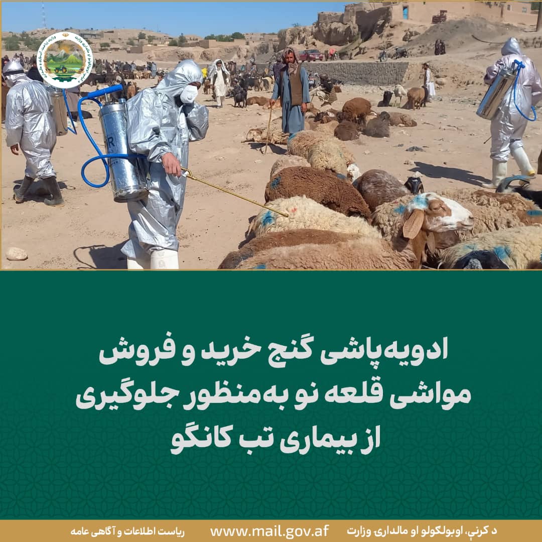 خبرهای مهم روز