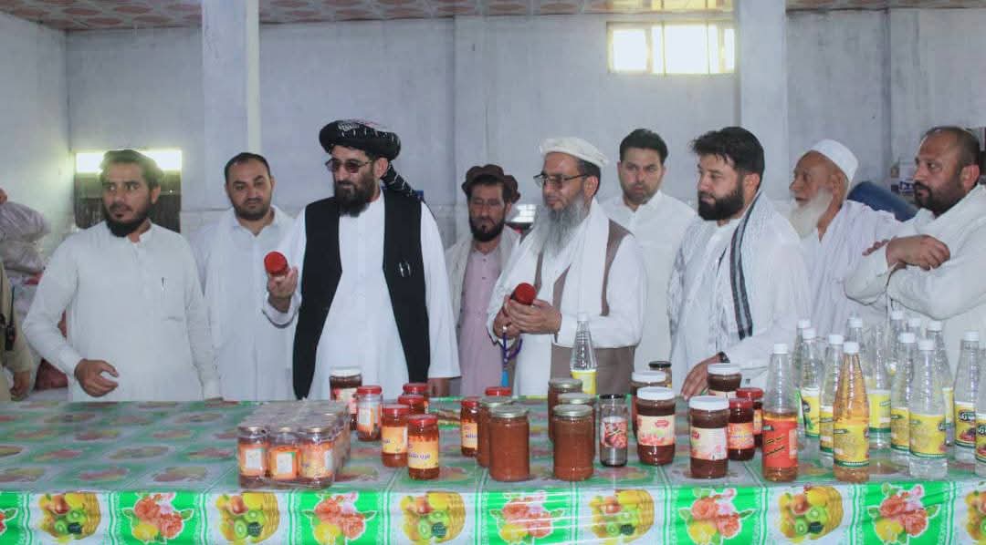 صنعتي پانګهوالو ستونزو ته د حل ډاډ؛ د ننګرهار وادي کرنيز شرکت اجرائيوي رییس له فابریکو لیدنه وکړه