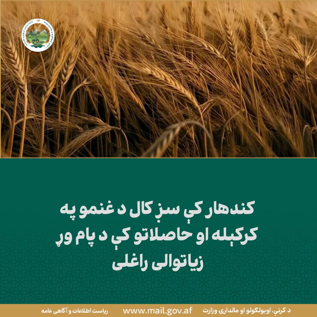 د ورځ مهمی خبری