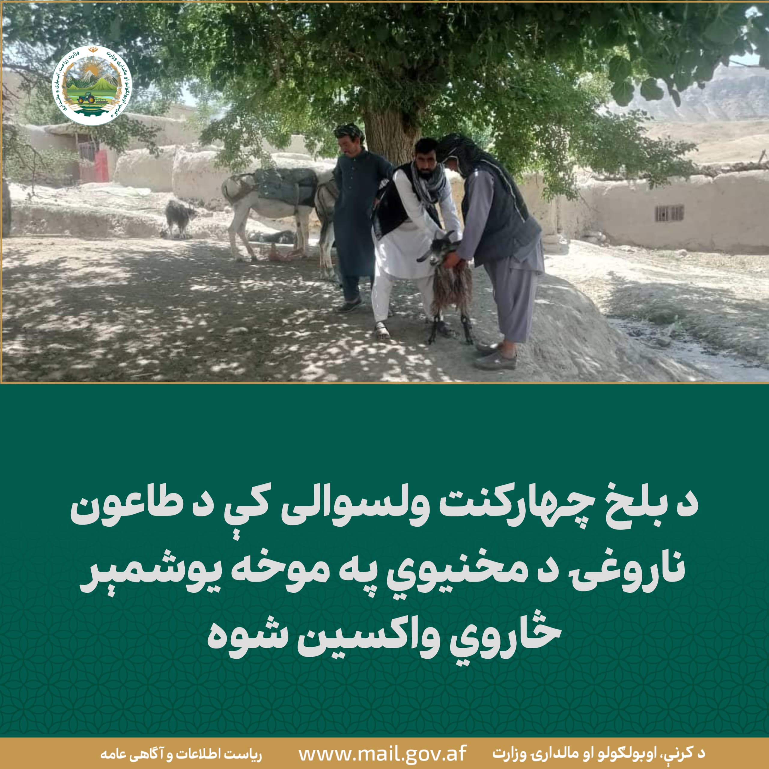 د ورځ مهمی خبری