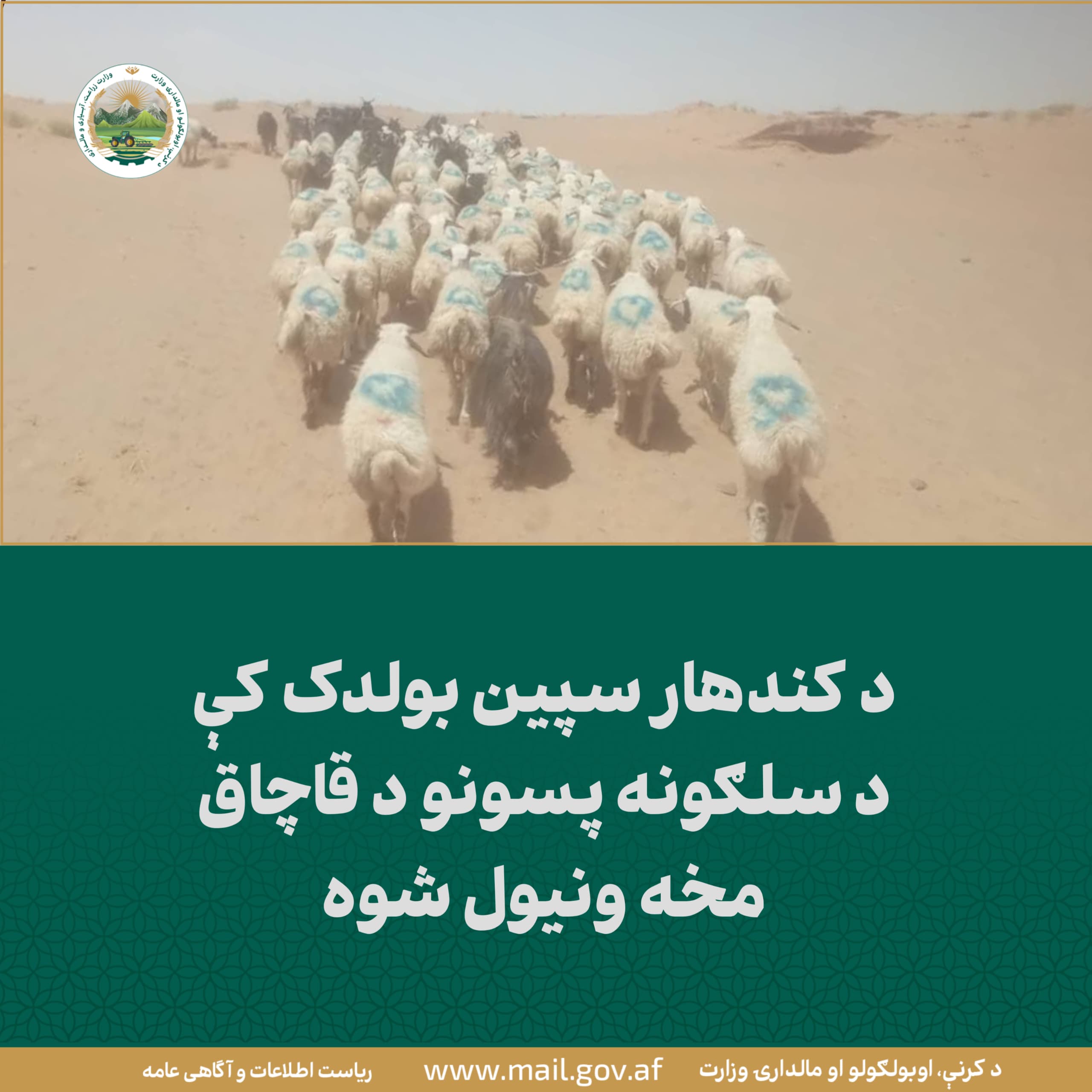 د ورځ مهمی خبری