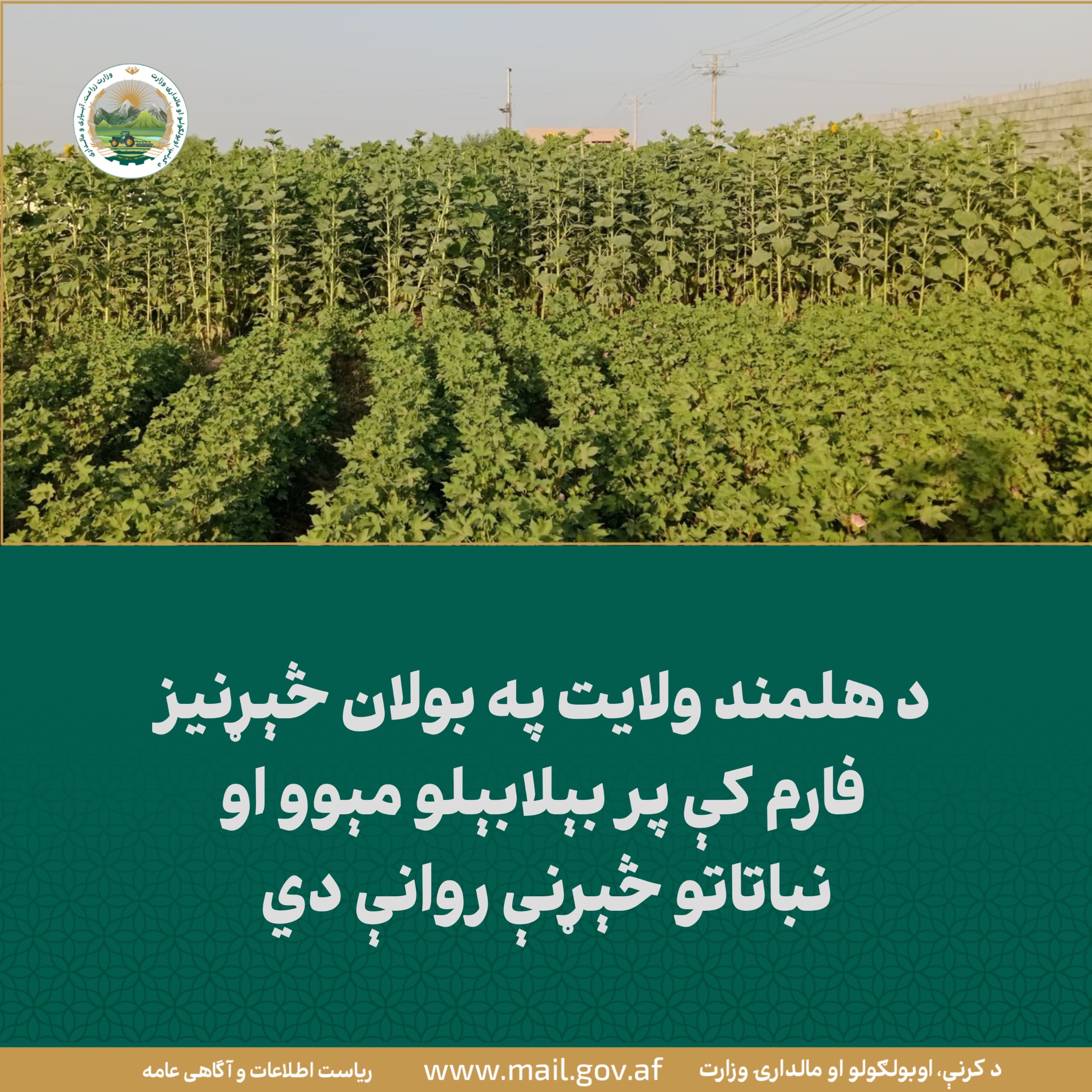د ورځ مهمی خبری