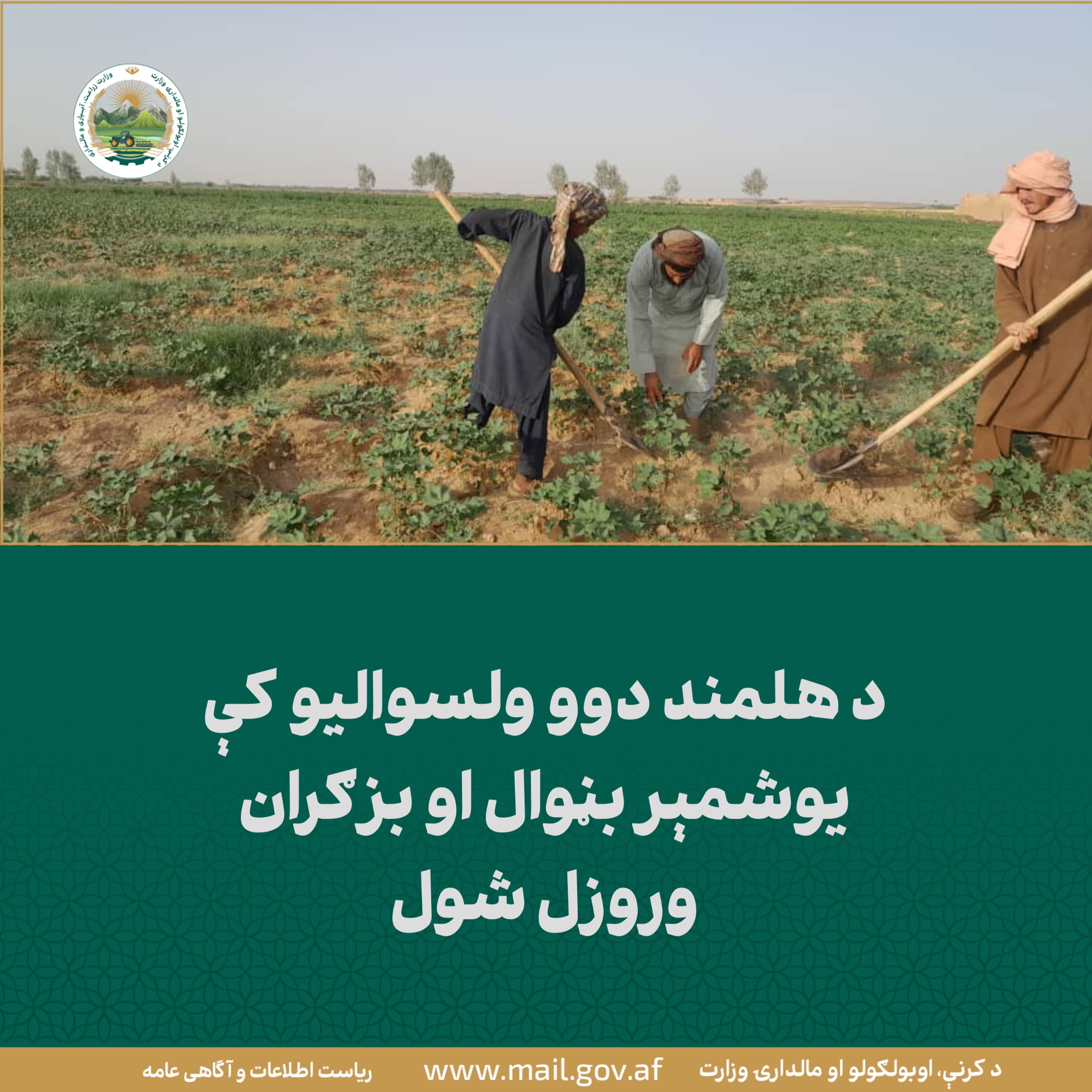 د ورځ مهمی خبری