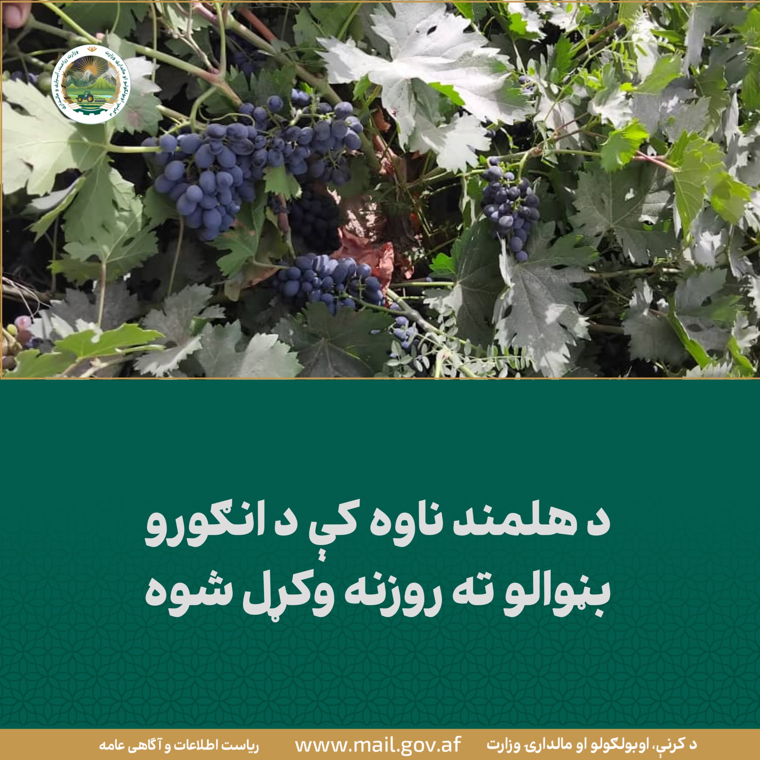 د ورځ مهمی خبری
