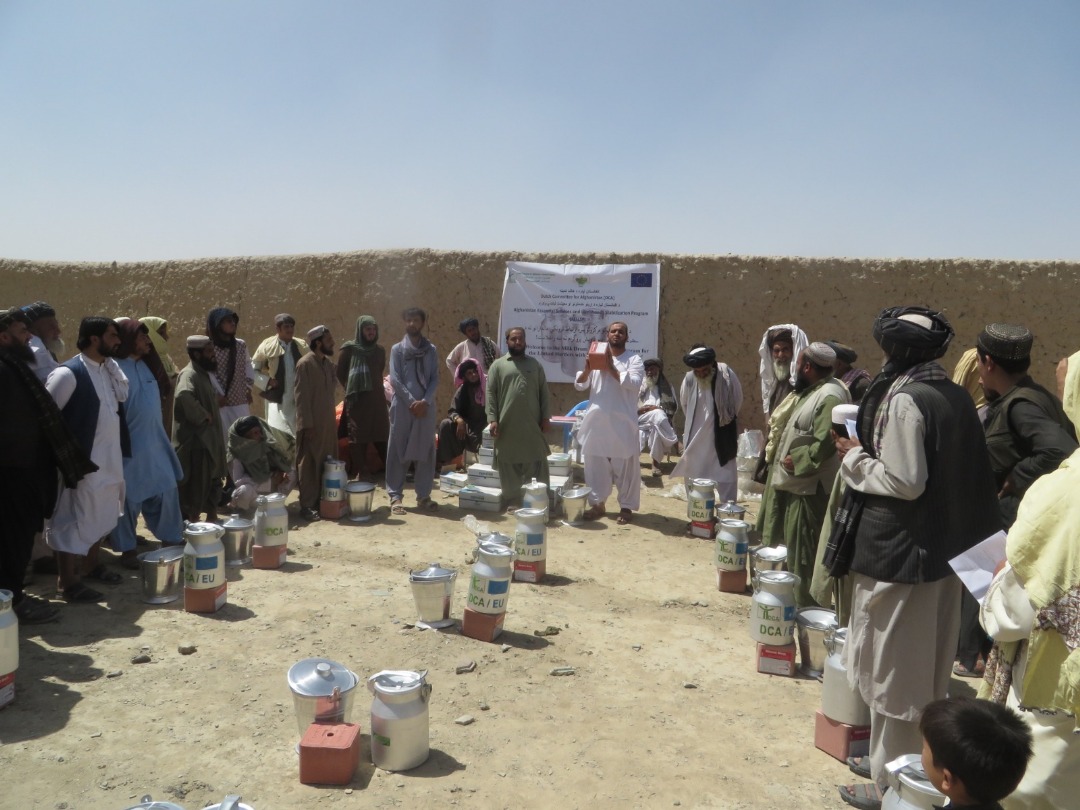 د کندهار بولدک ولسوالی کې پر لسګونو کورنیو د شېدو راټولولو او لېږد توکي ووېشل شوې