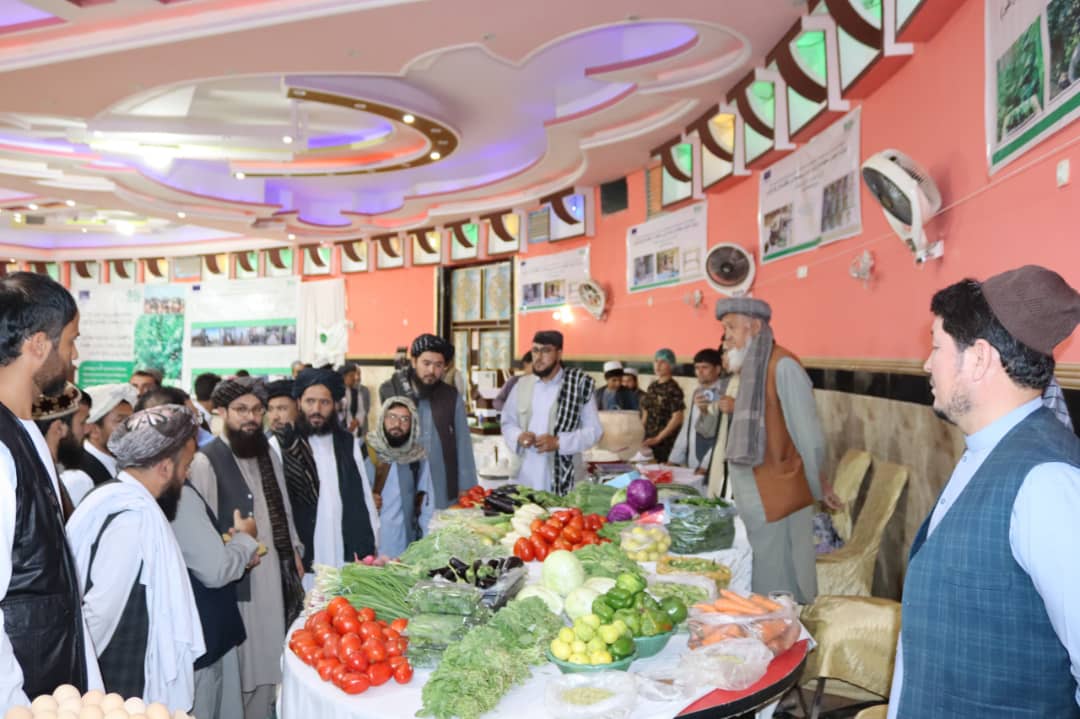 برگزاری نمایشگاه یک‌روزه محصولات زراعتی و صنایع دستی در سمنگان