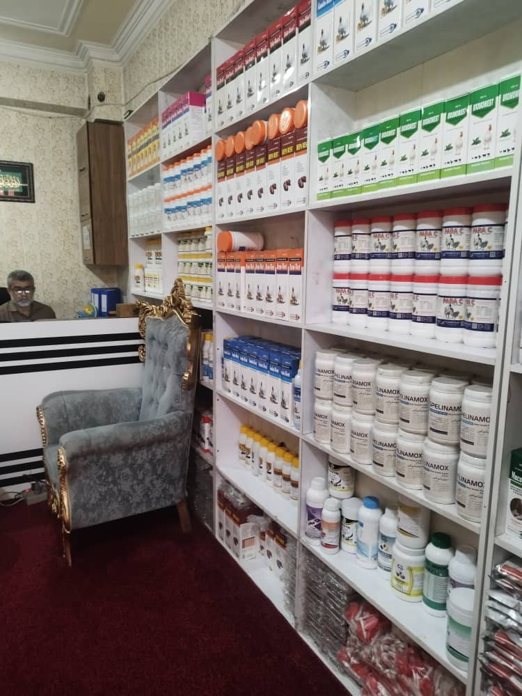 جمع‌آوری ادویه‌جات تاریخ‌گذشته حیوانی از کابل مارکت هرات