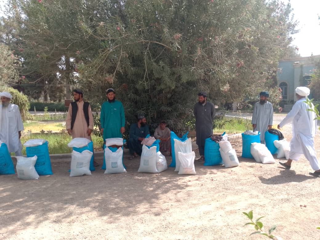 د فراه په ولایت کې یوشمېر بزګرانو ته د جوارو د ننداریزو کروندو لپاره کرنیز توکي ووېشل شول