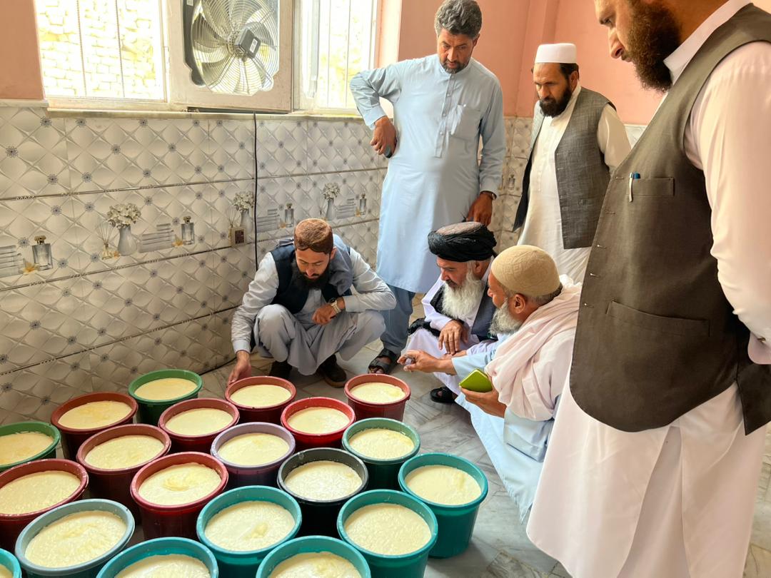 لوګر کې د شېدو راټولولو او پروسس مرکزونو له روانو چارو څخه څارنه وشوه