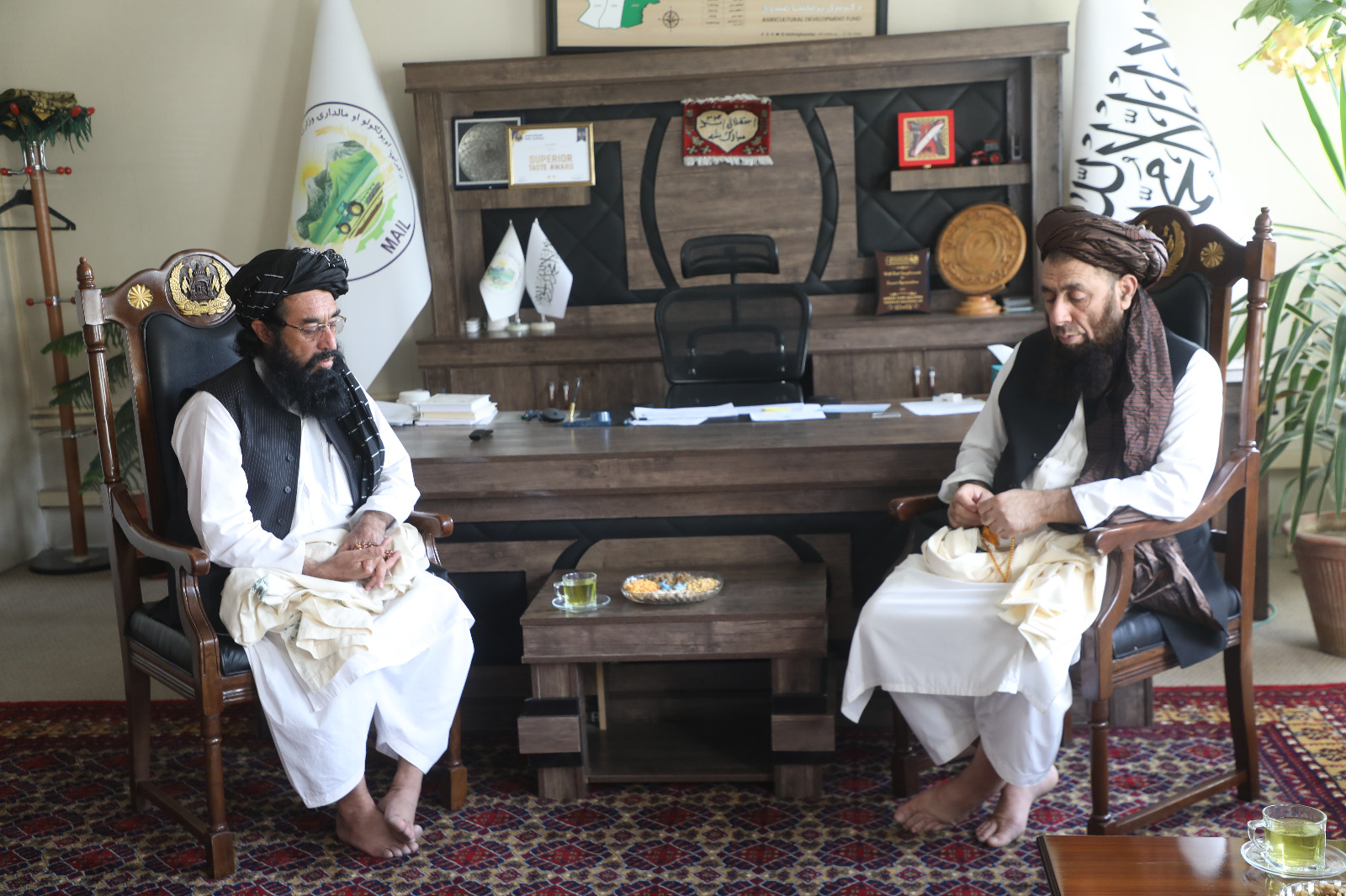 د کرنې او مالدارۍ مرستیال د کوچیانو چارو د سمون لوی ریاست له چارواکو سره وکتل