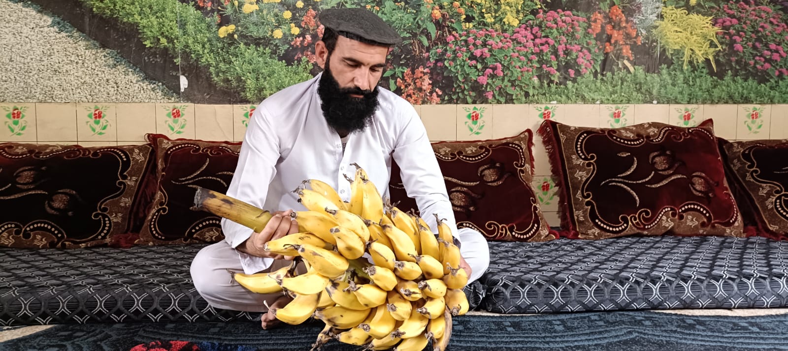 خوست کې د کیلې ونو په وده او حاصل کې ښه پایله ورکړې ده