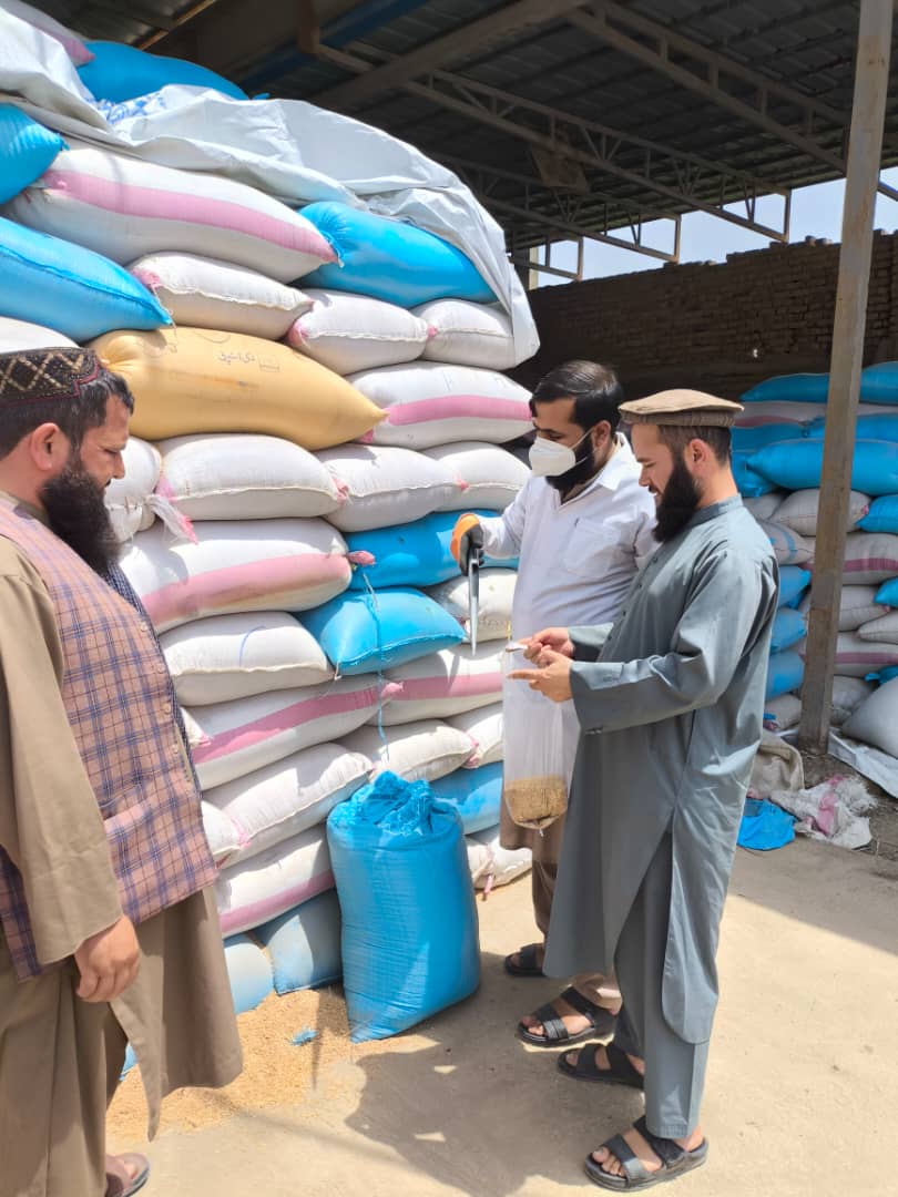آغاز پروسه انتقال ۲ هزار متریک تن گندم مازاد دهاقین تخار به سیلوی پلخمری
