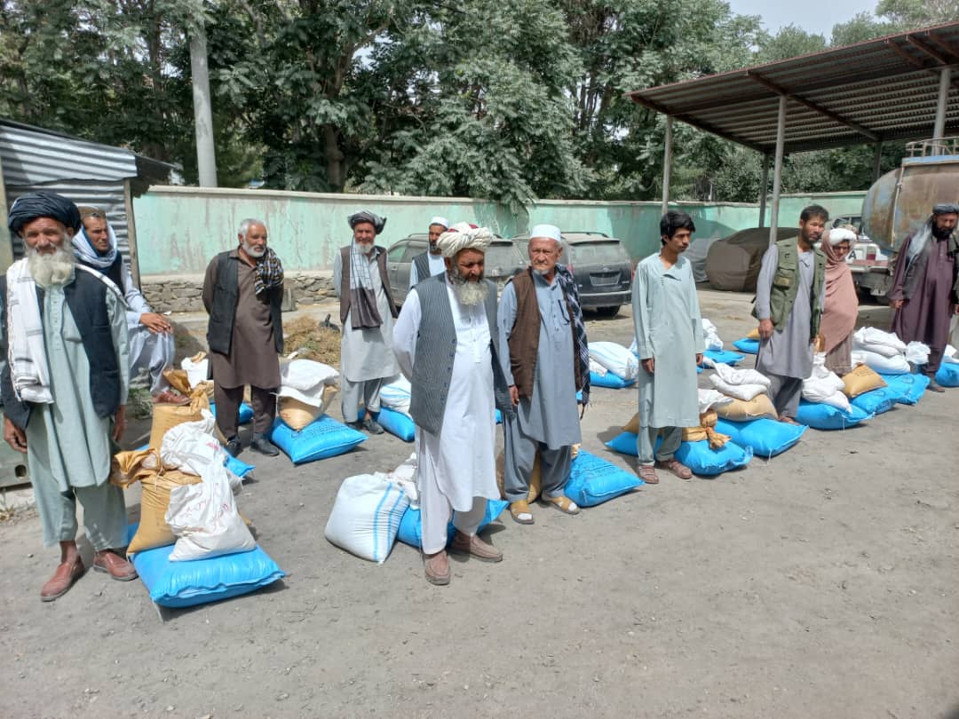 غزني کې یوشمېر بزګرانو ته د جوارو د ننداریزو کروندو لپاره کرنیز توکي ووېشل شول