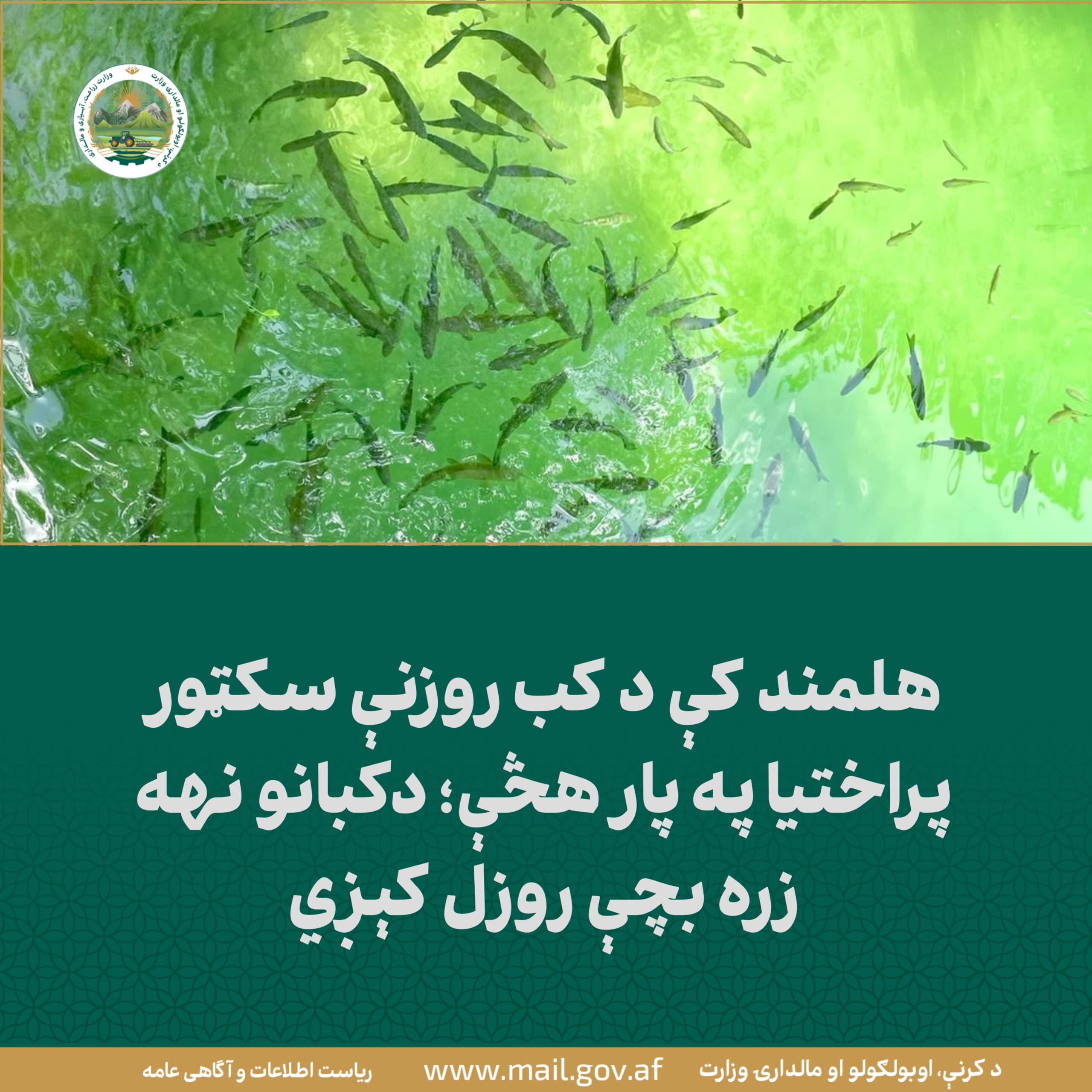 د ورځ مهمی خبری
