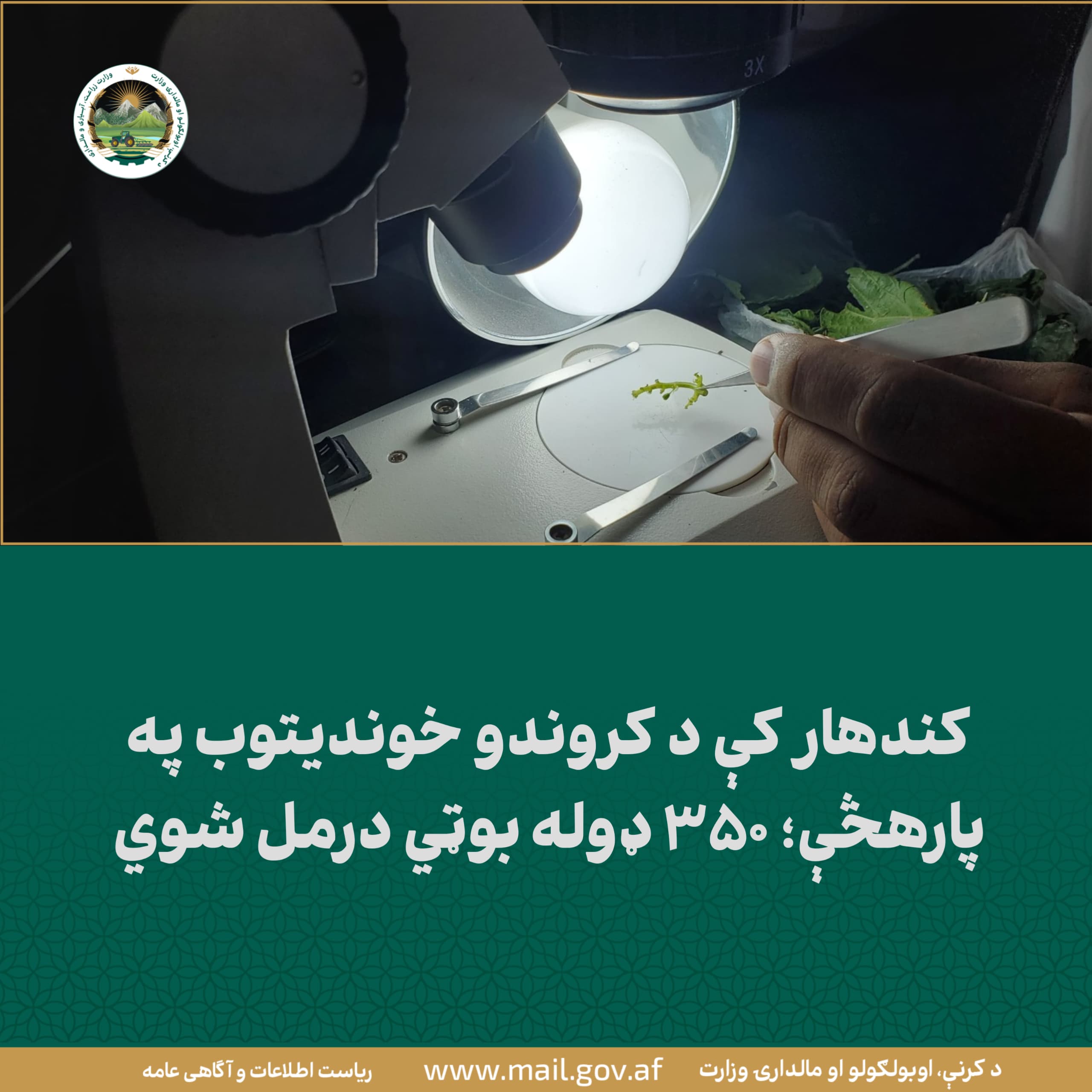 د ورځ مهمی خبری