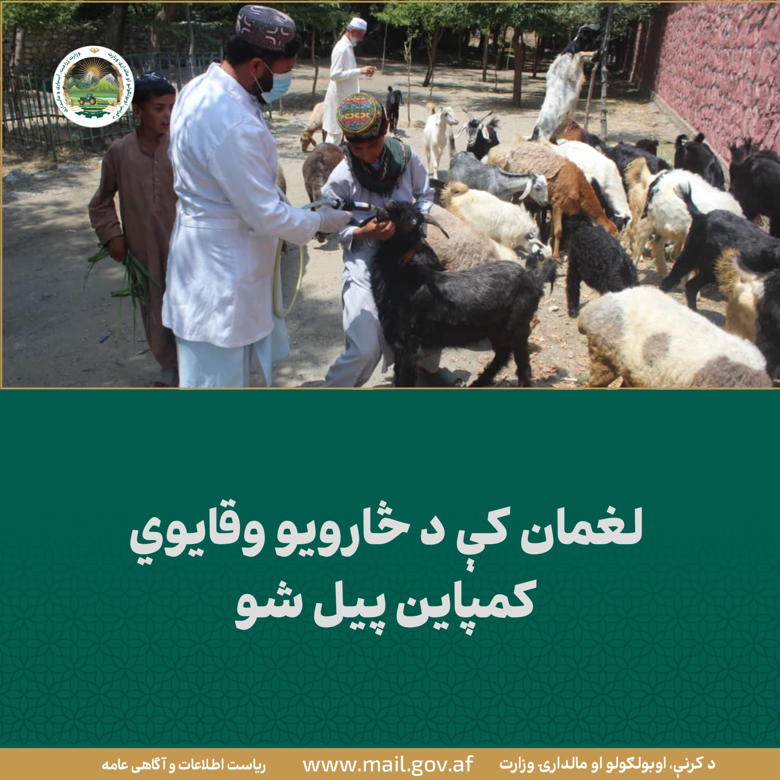 د ورځ مهمی خبری