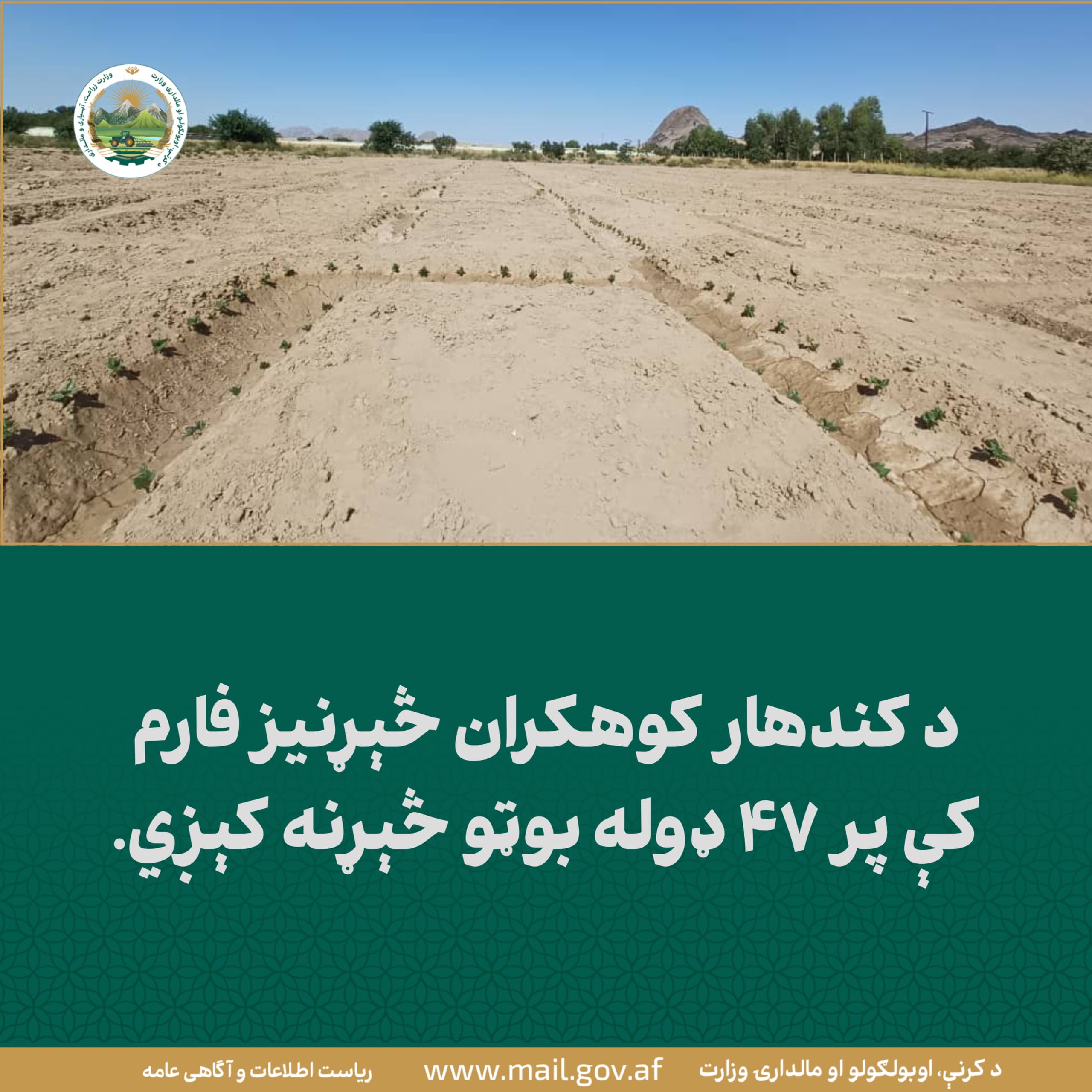 د ورځ مهمی خبری