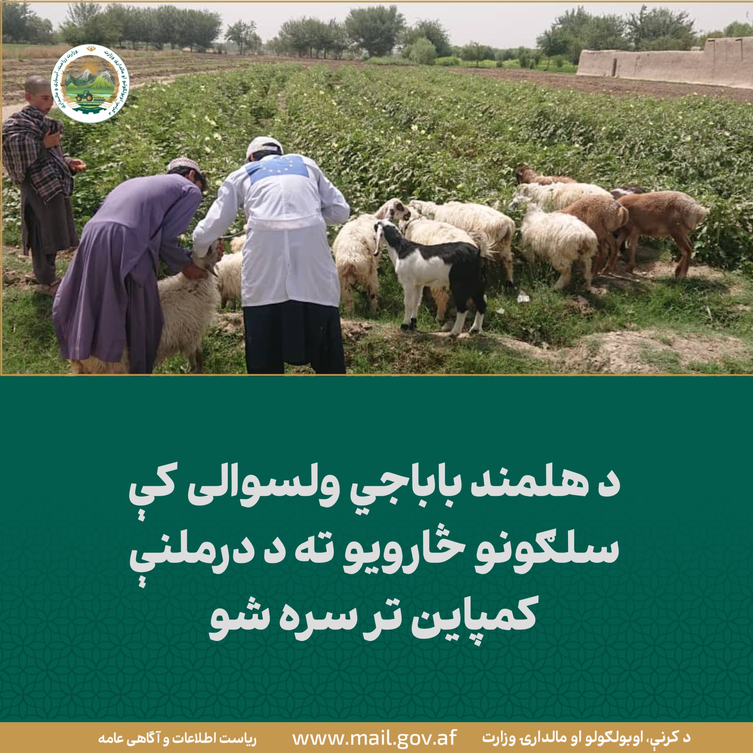د ورځ مهمی خبری