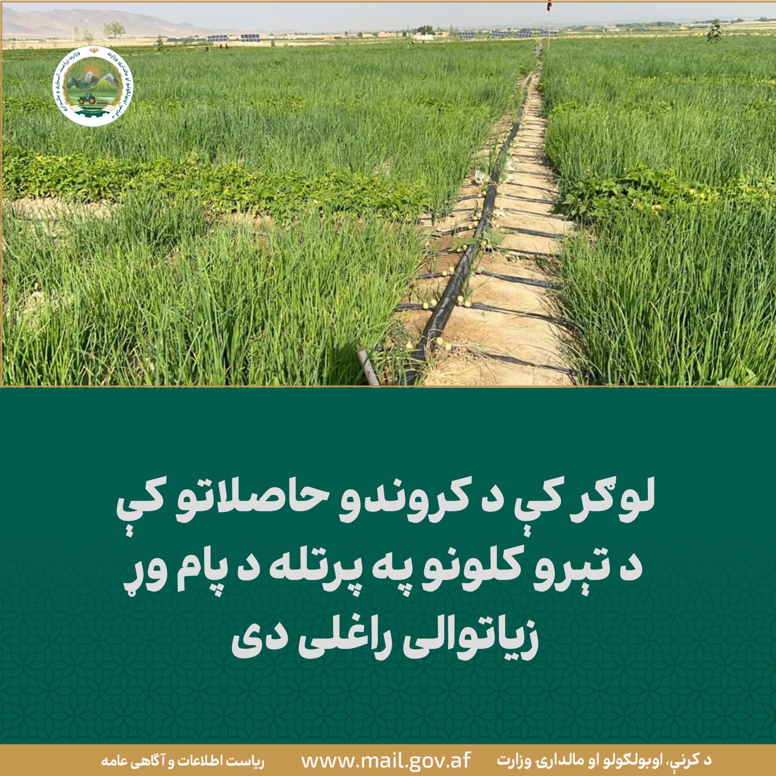 د ورځ مهمی خبری