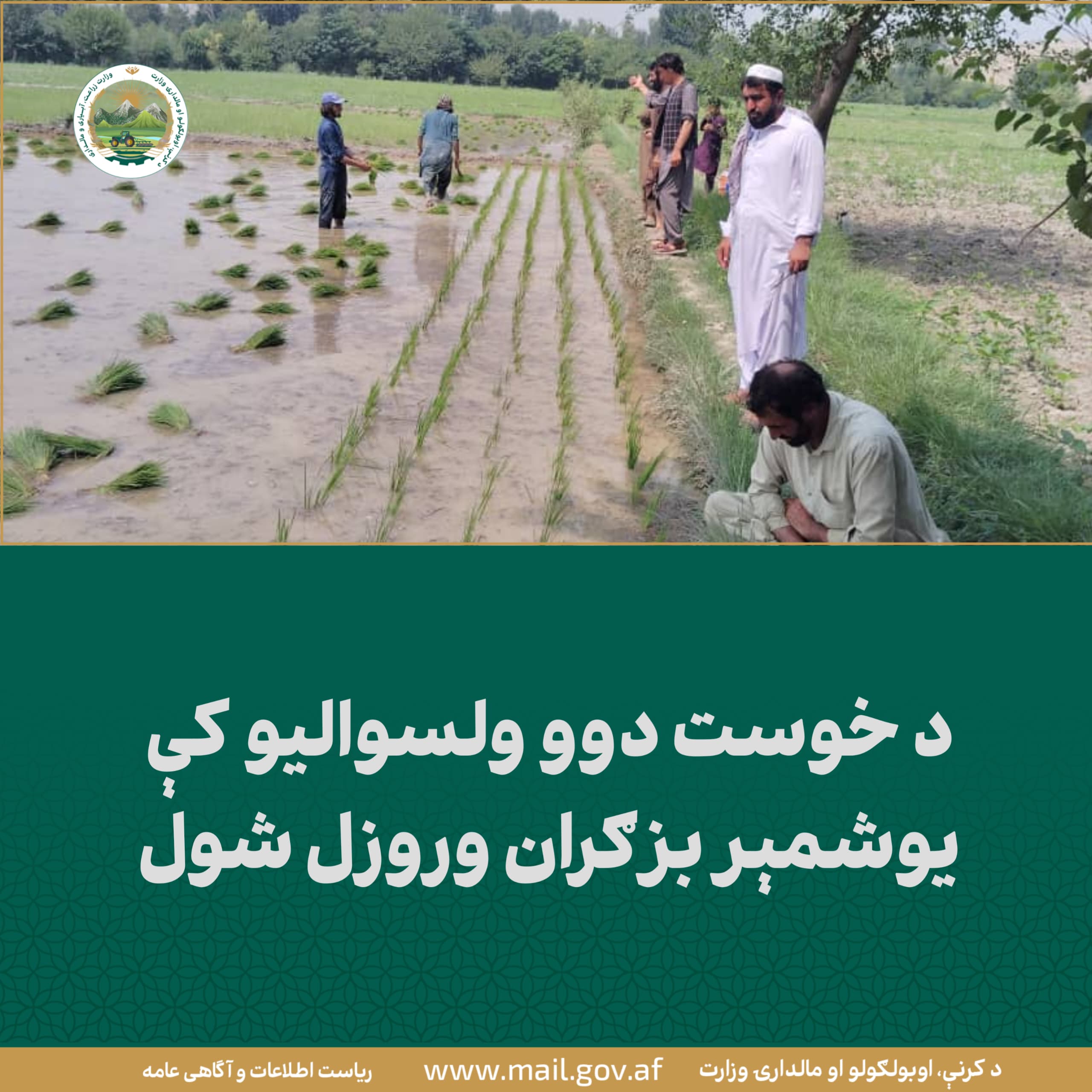 د ورځ مهمی خبری