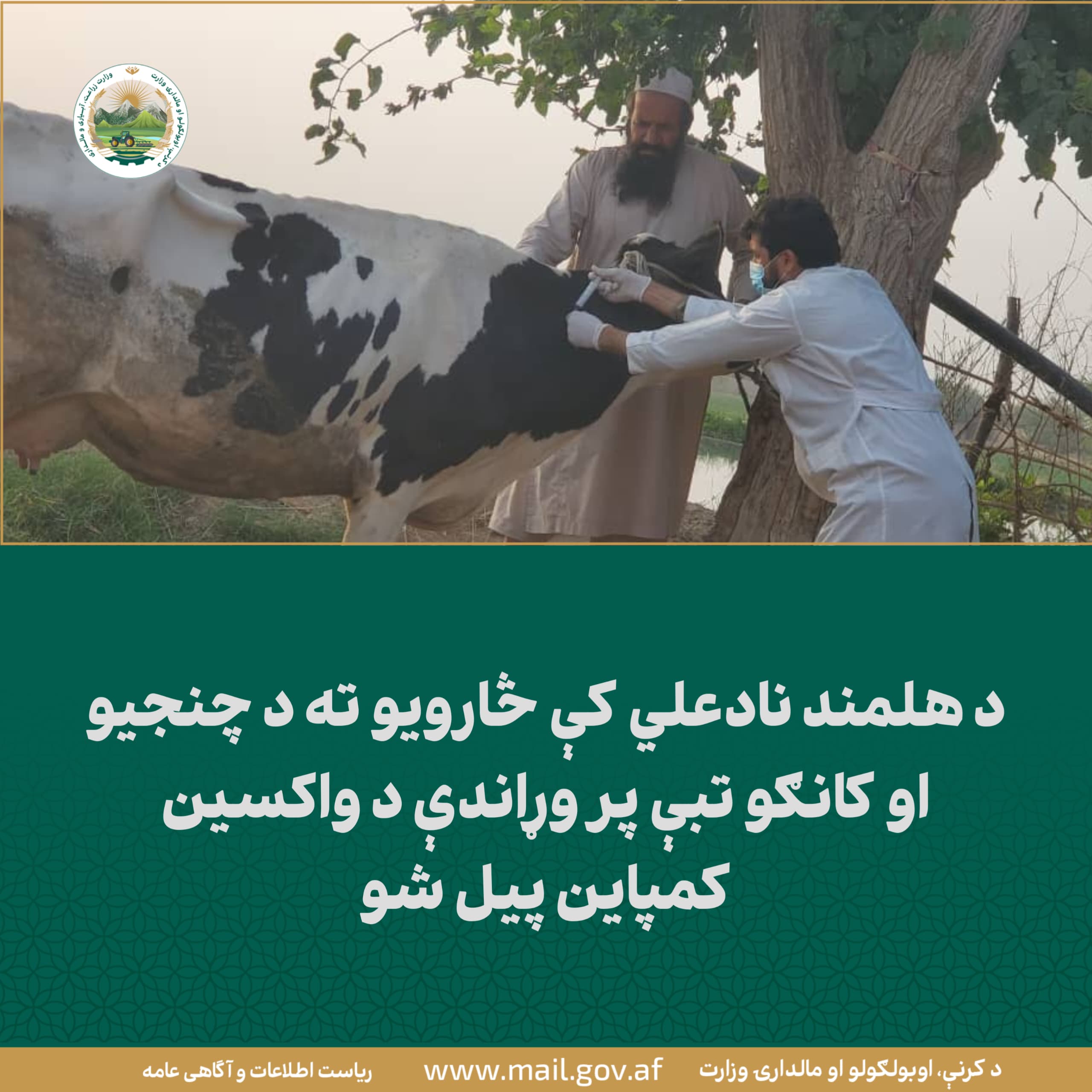 د ورځ مهمی خبری