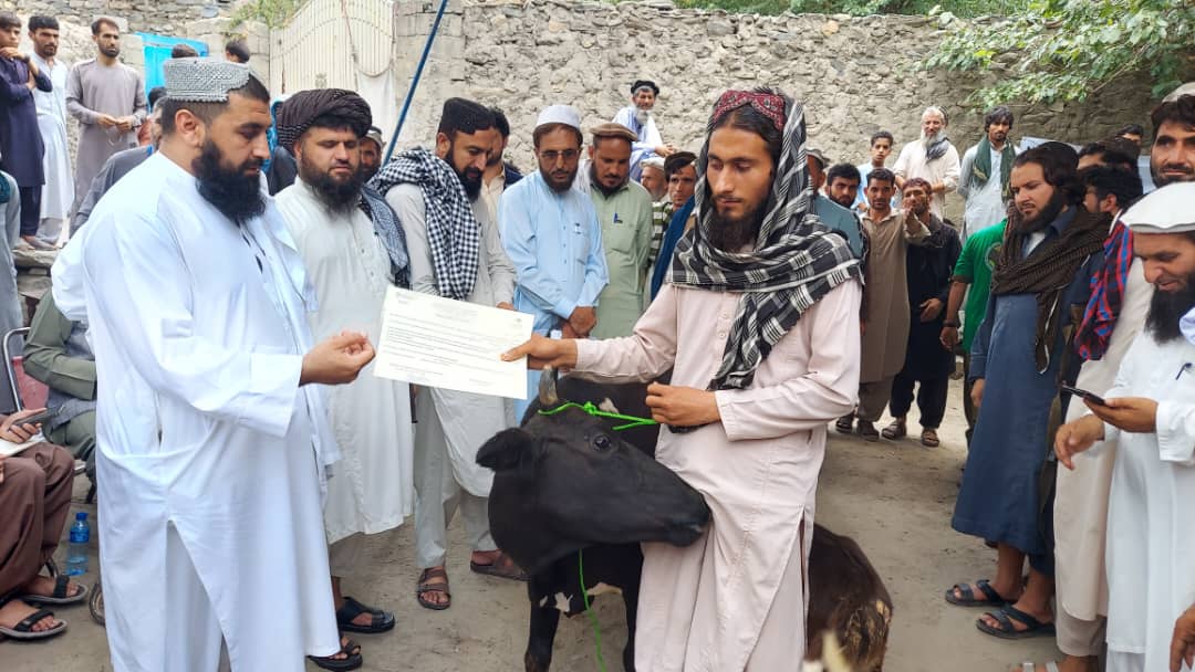 ننګرهار کې سلګونو مېرمنو ته د شېدو غواګانې ووېشل شوې