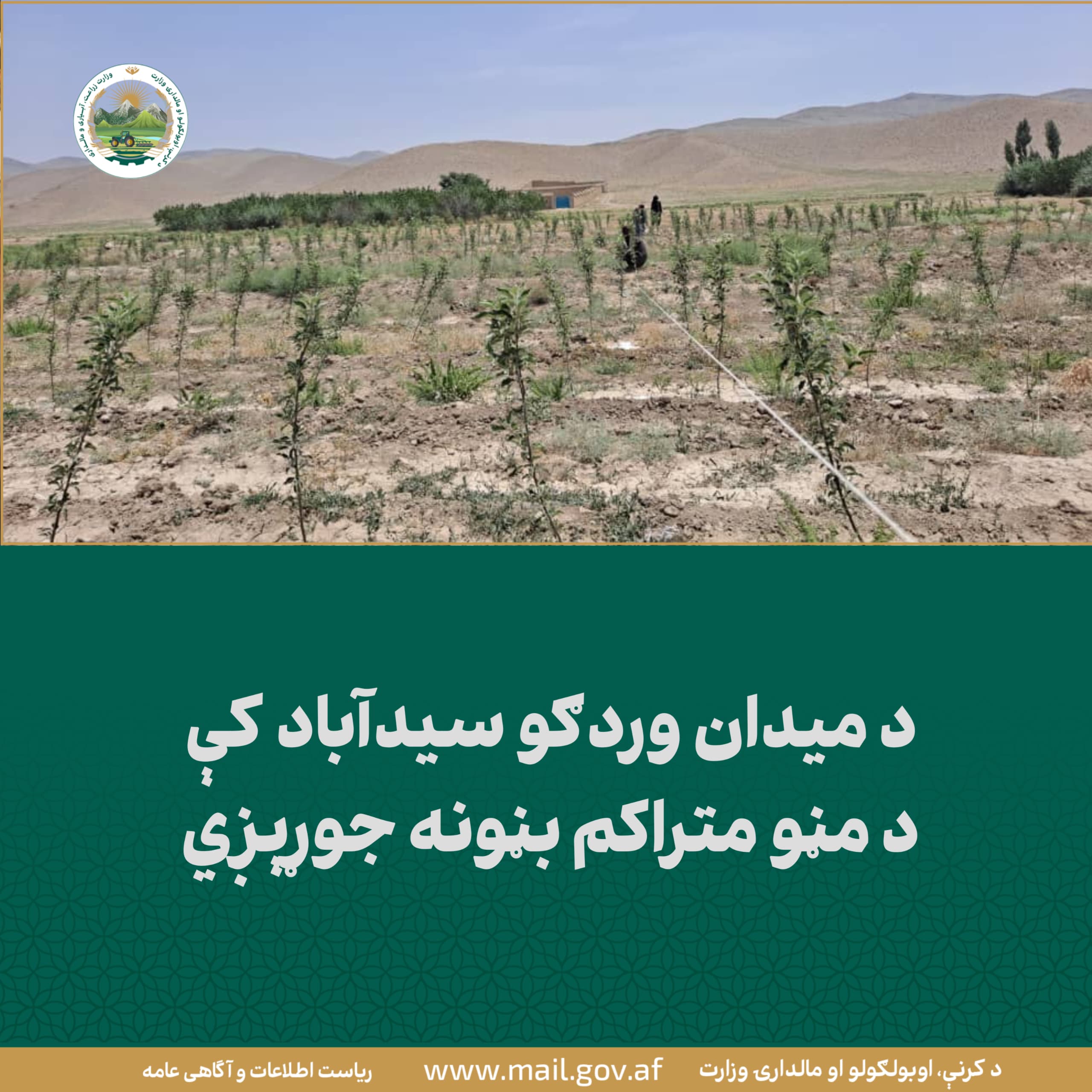 د ورځ مهمی خبری