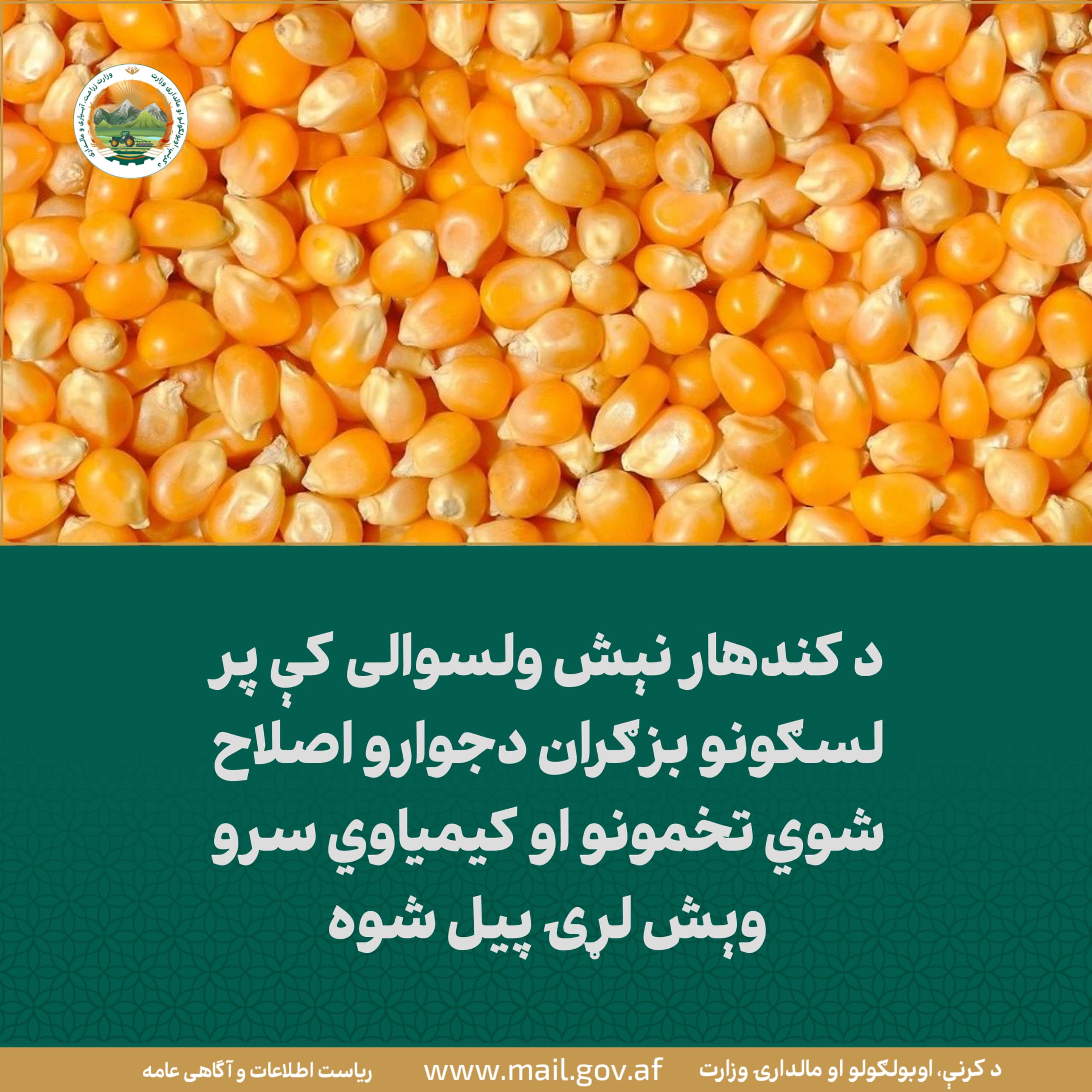 د ورځ مهمی خبری