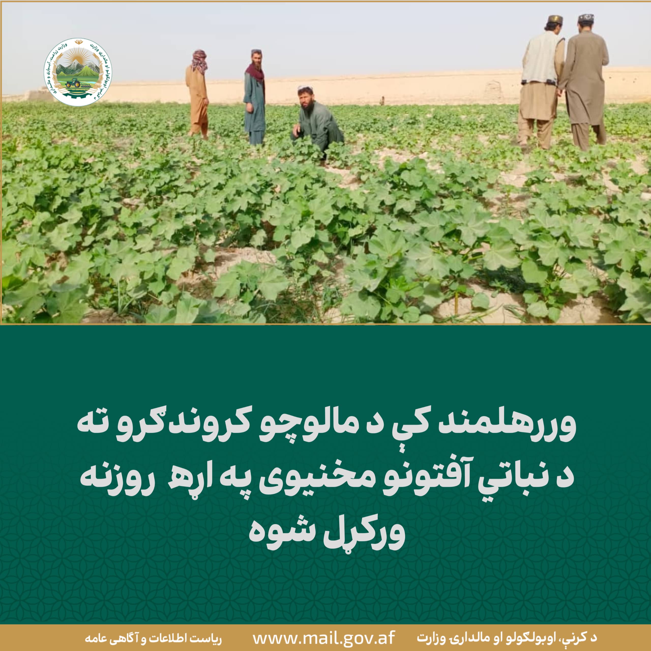 د ورځ مهمی خبری