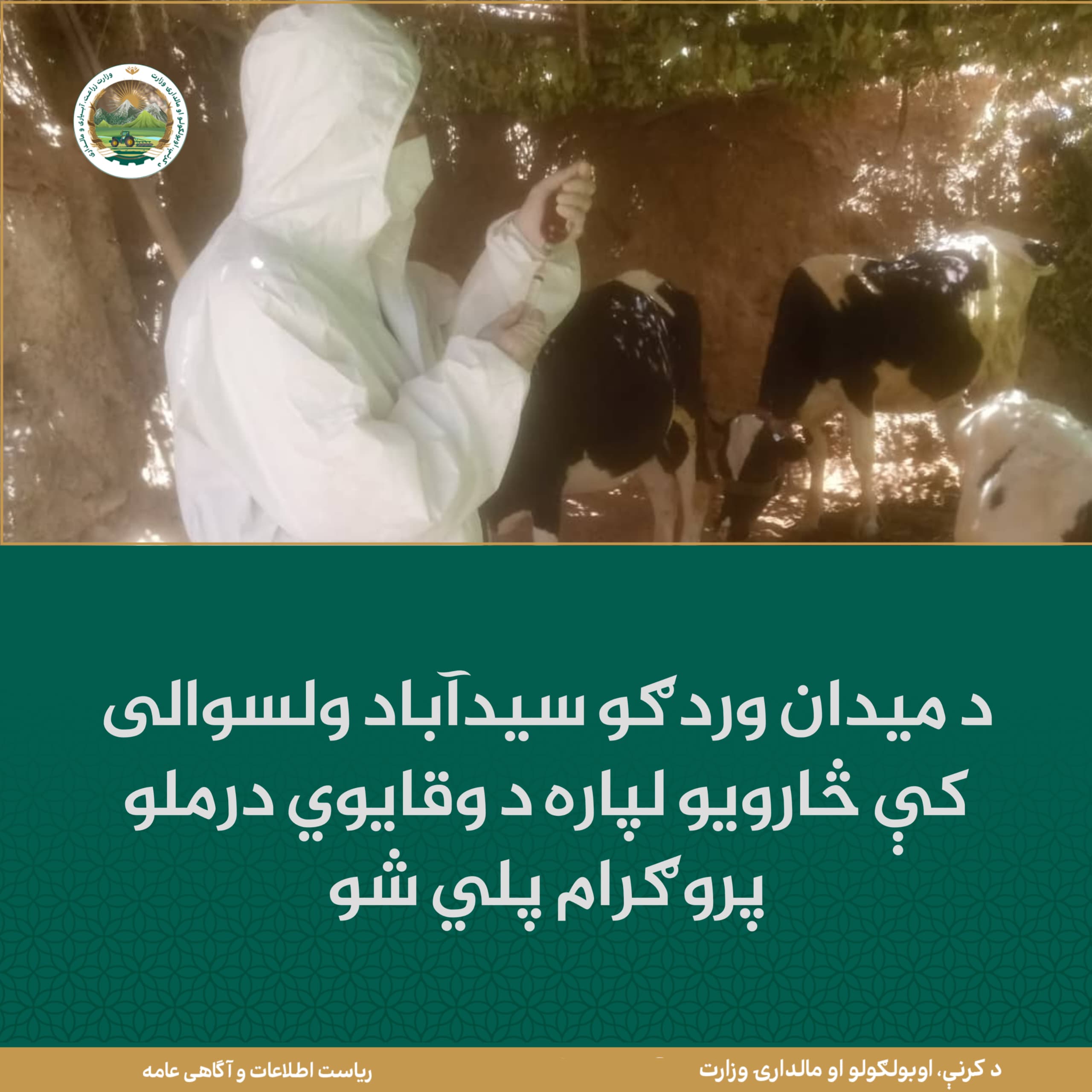 د ورځ مهمی خبری